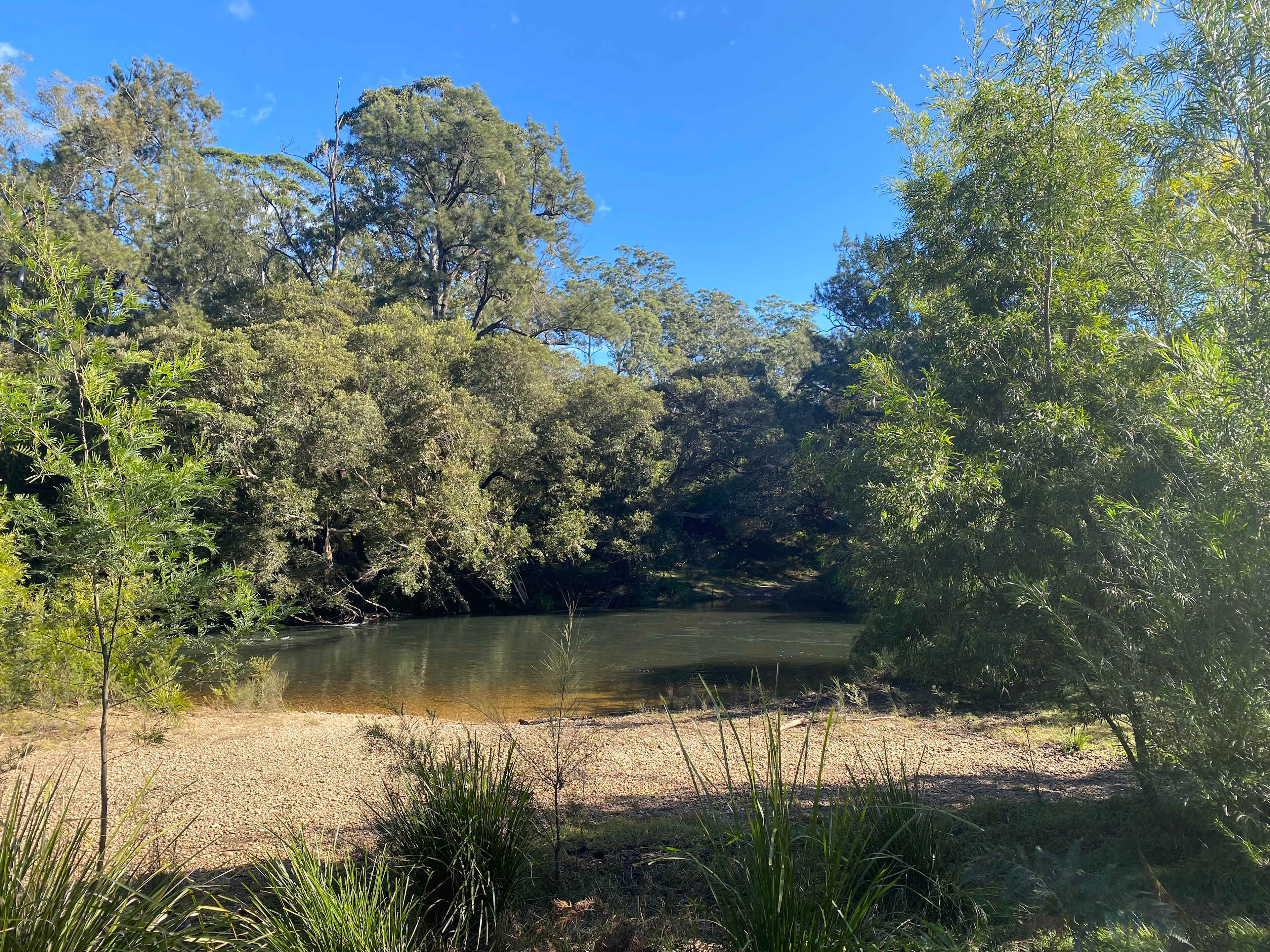 Water entry, rapids to the left, calm water to the right. 