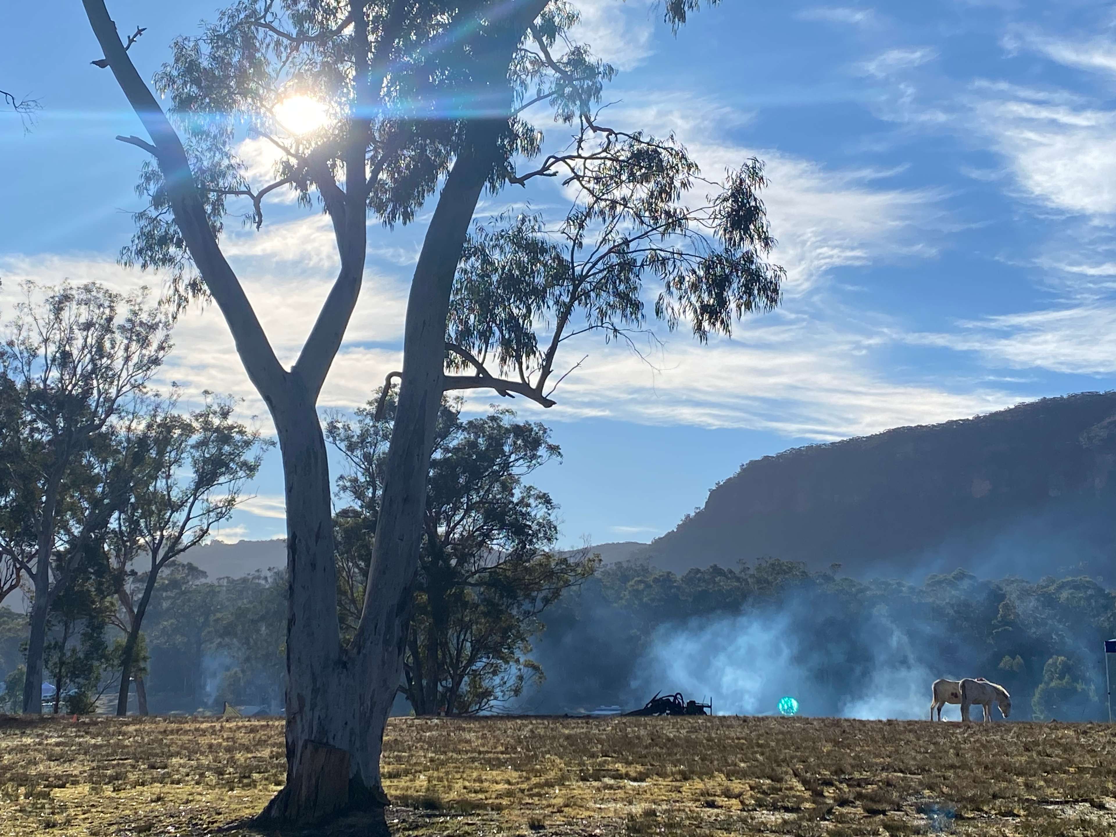 Megalong Valley Farm