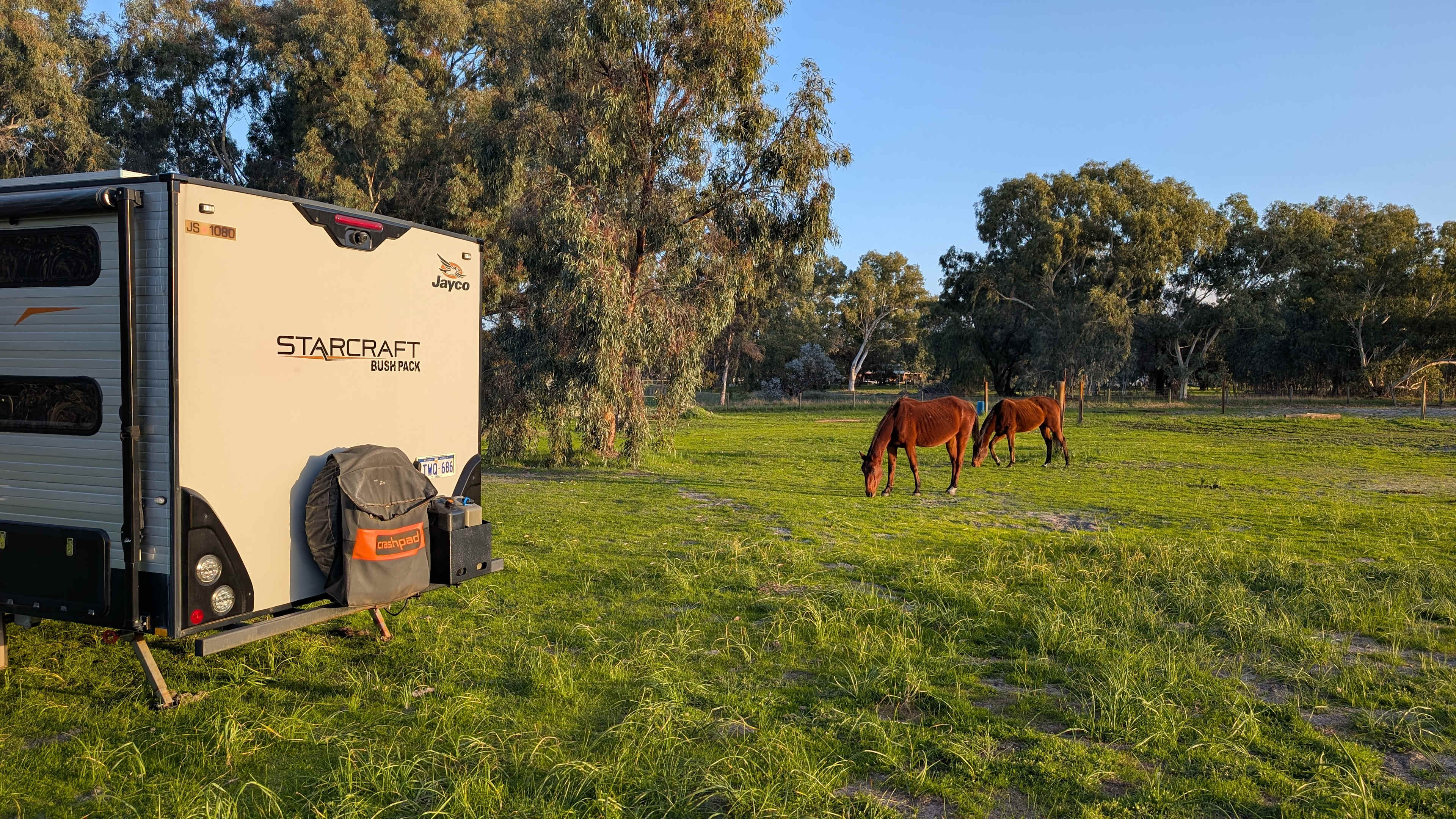 Everything Horses Ltd