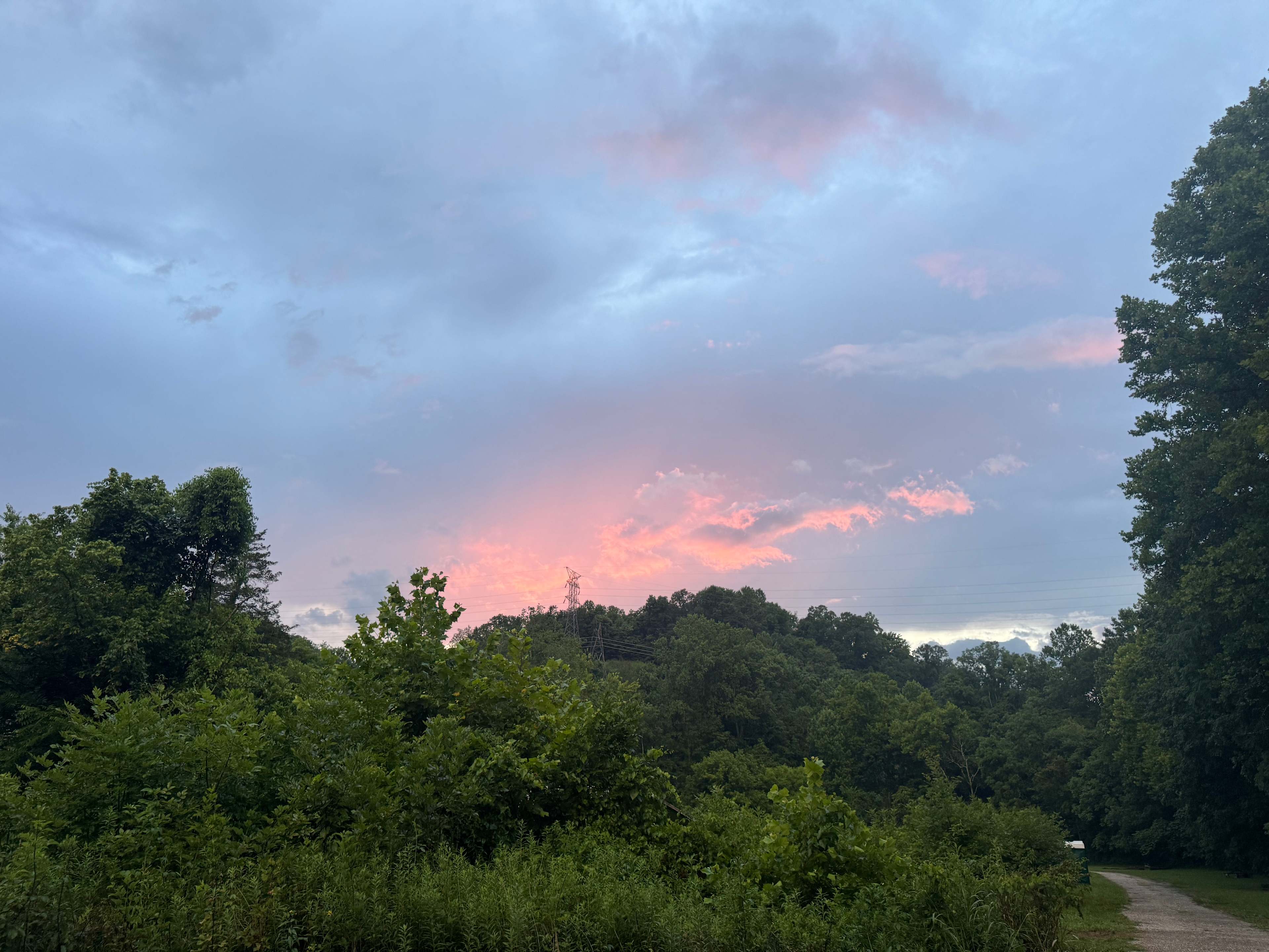 Low Meadow Farms