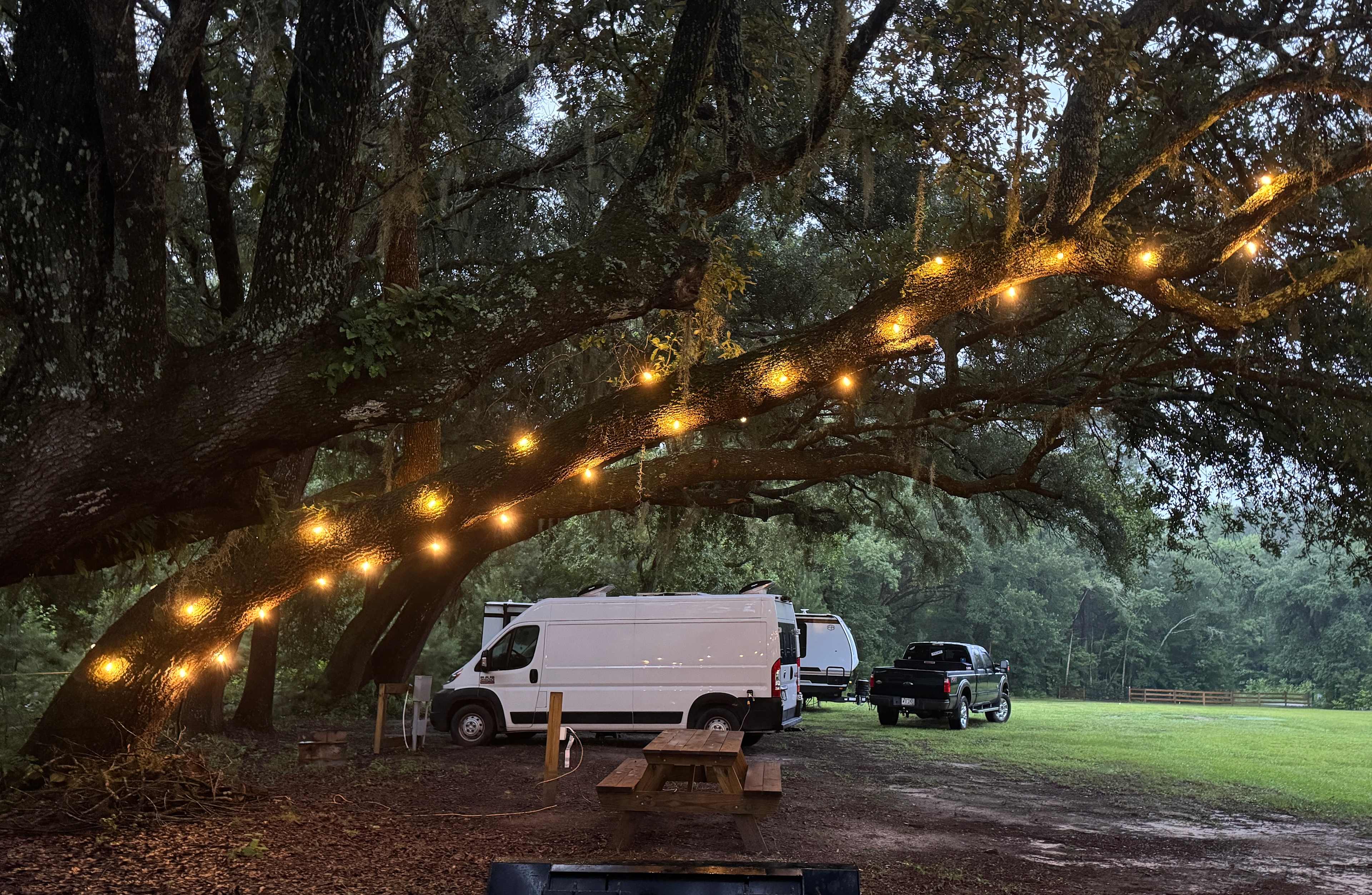 Lovey spot under the huge oak!