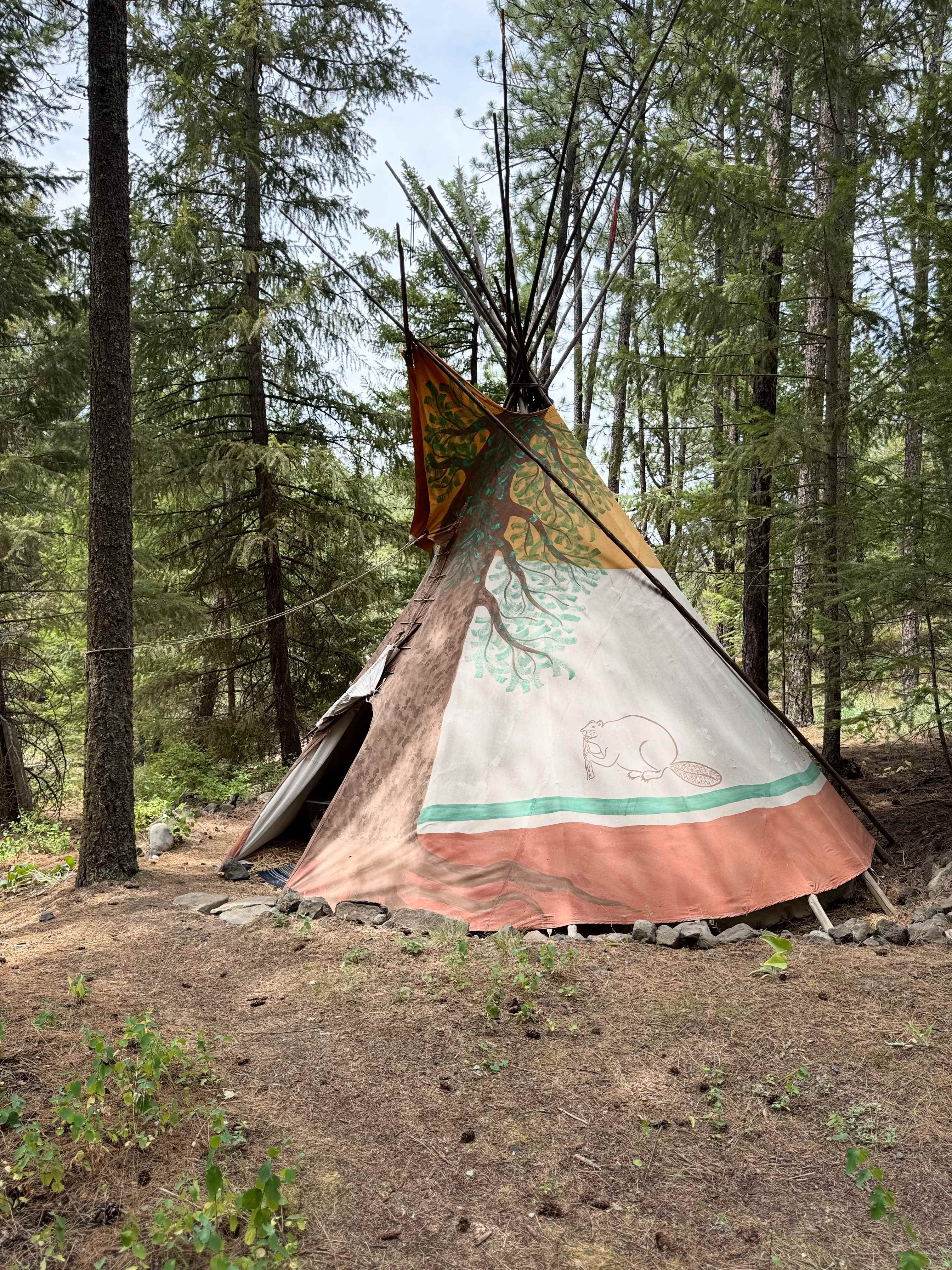 SPOKANE CAMPING In The Forest