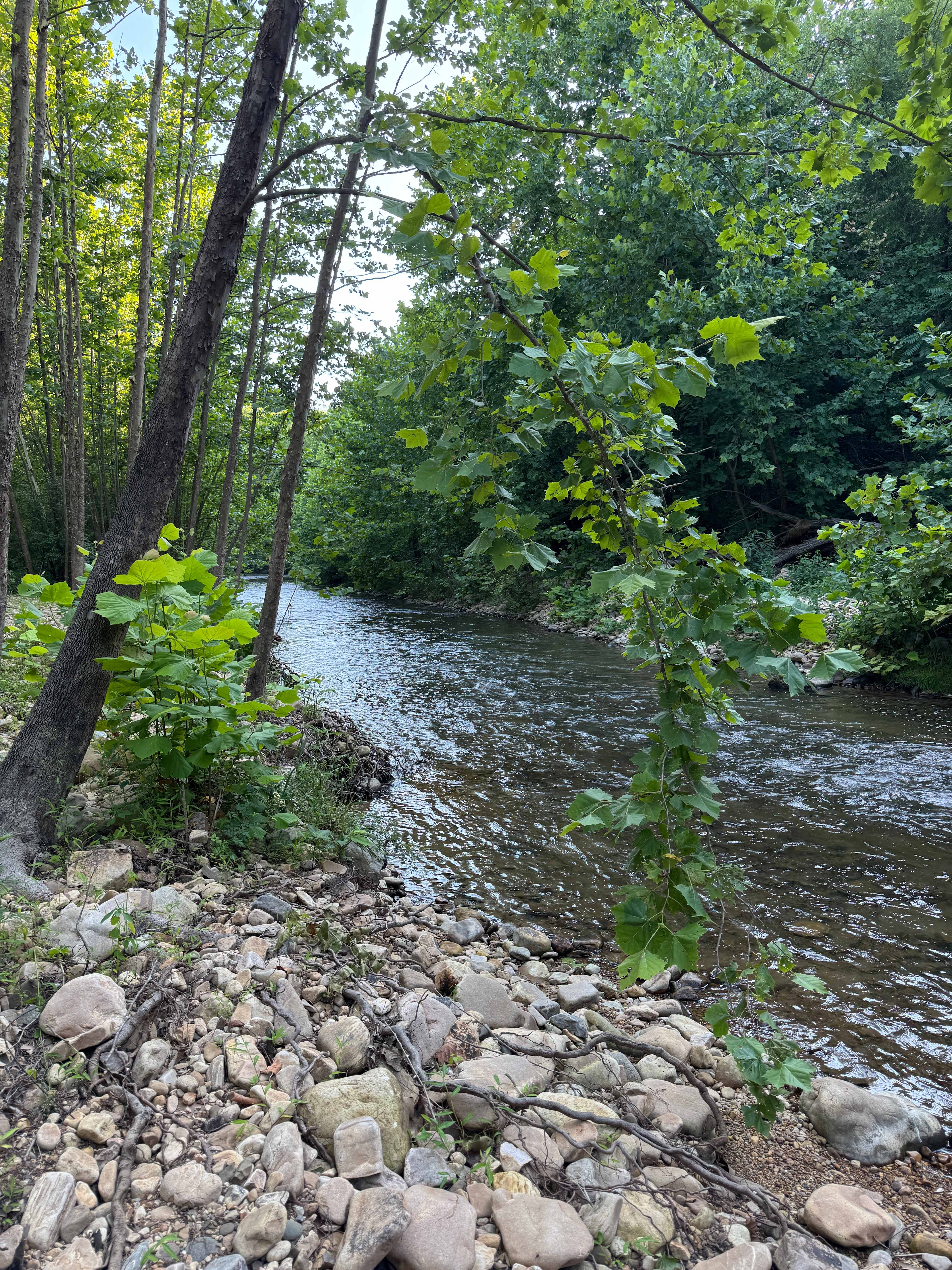 Swedish Lilac Campground & Events