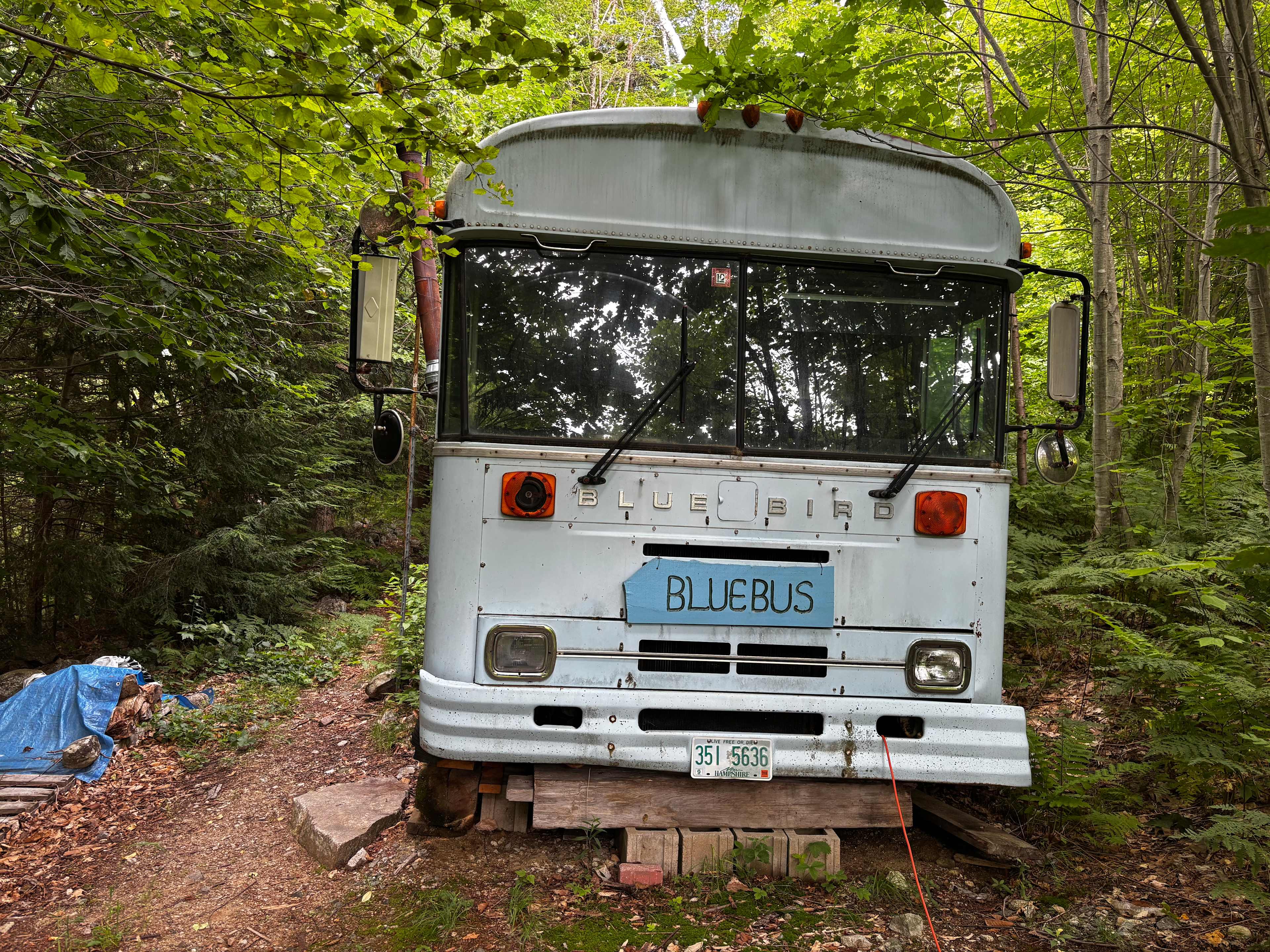 Streeter Mountain Farm