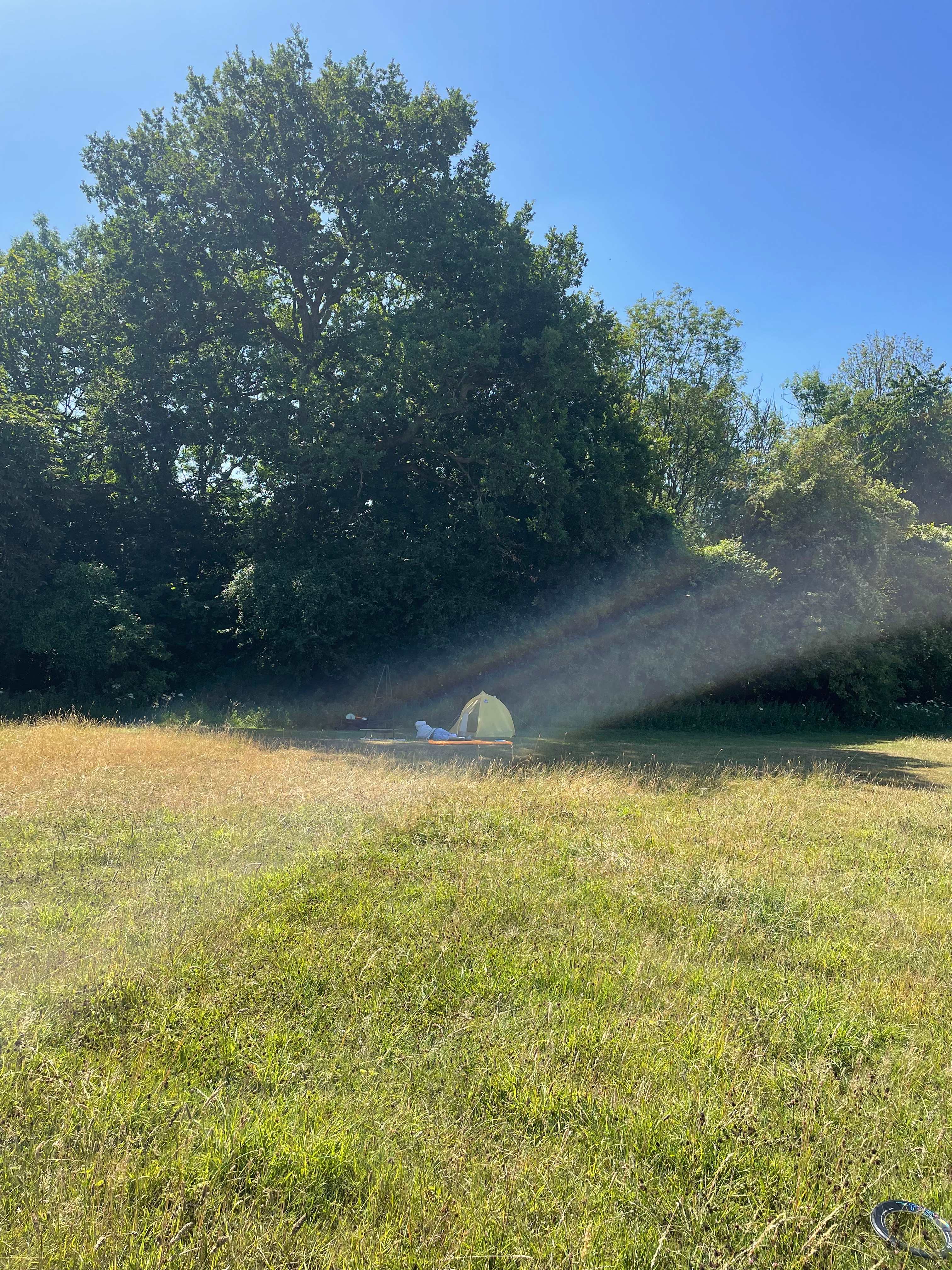 Woodlands Camping