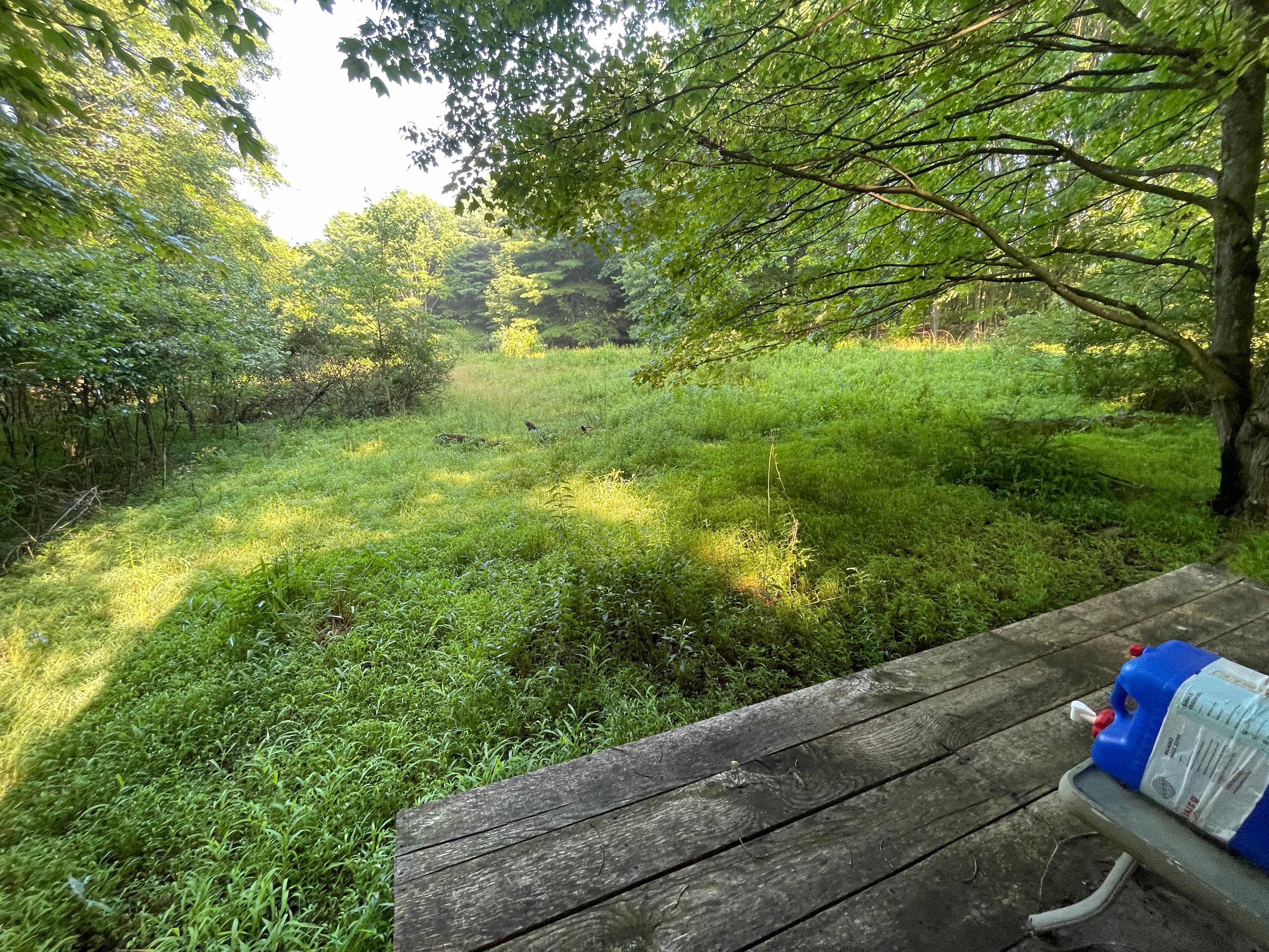 Neal Homestead Camp Sites