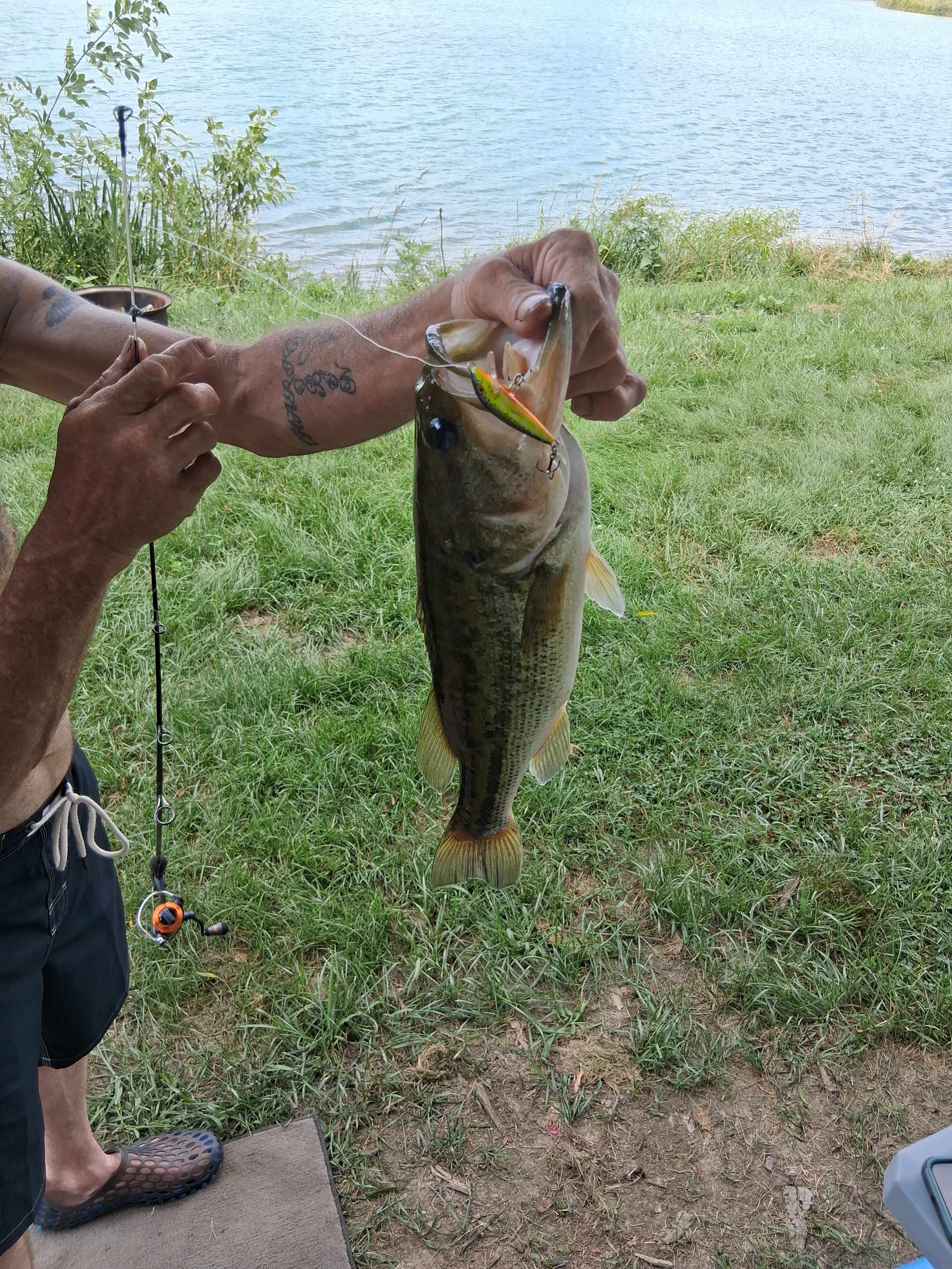 Fish Farm Camp