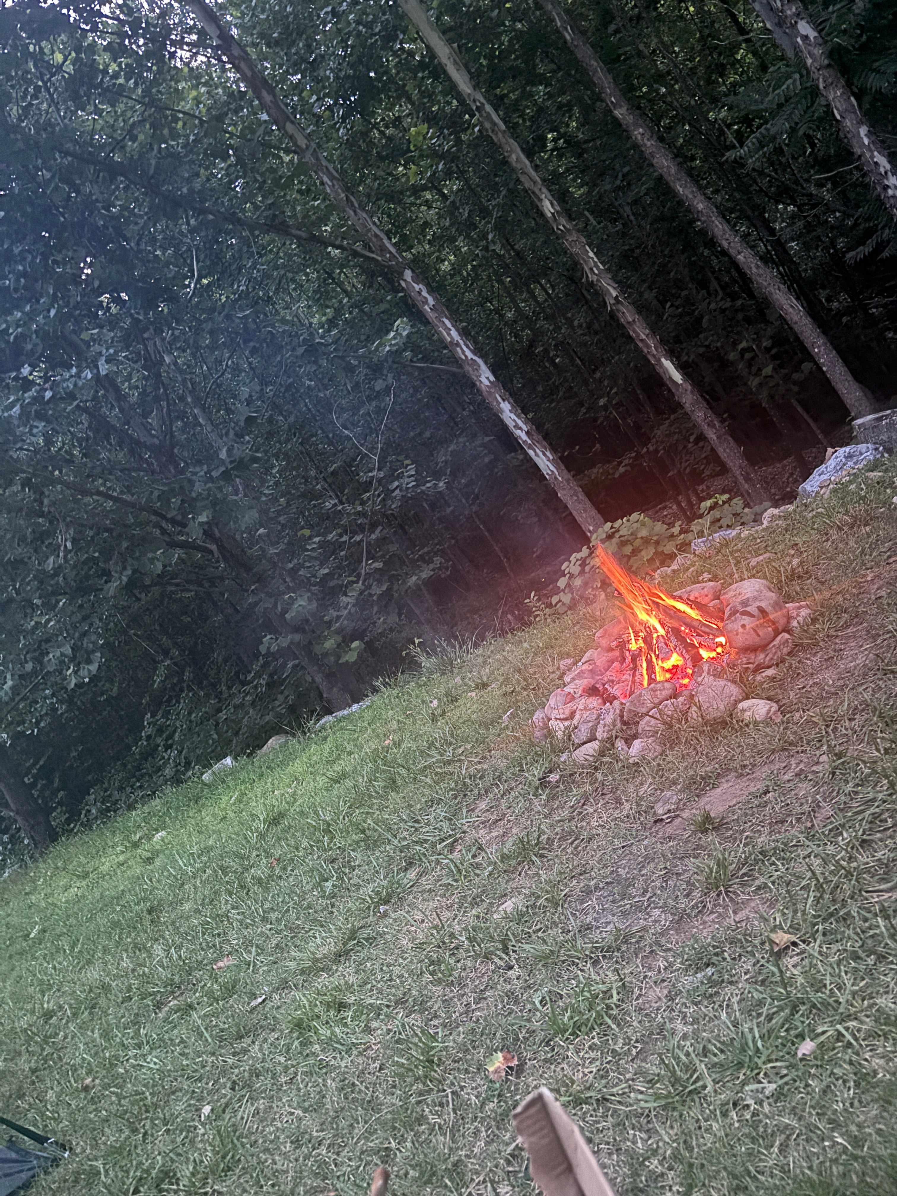 Swedish Lilac Campground & Events