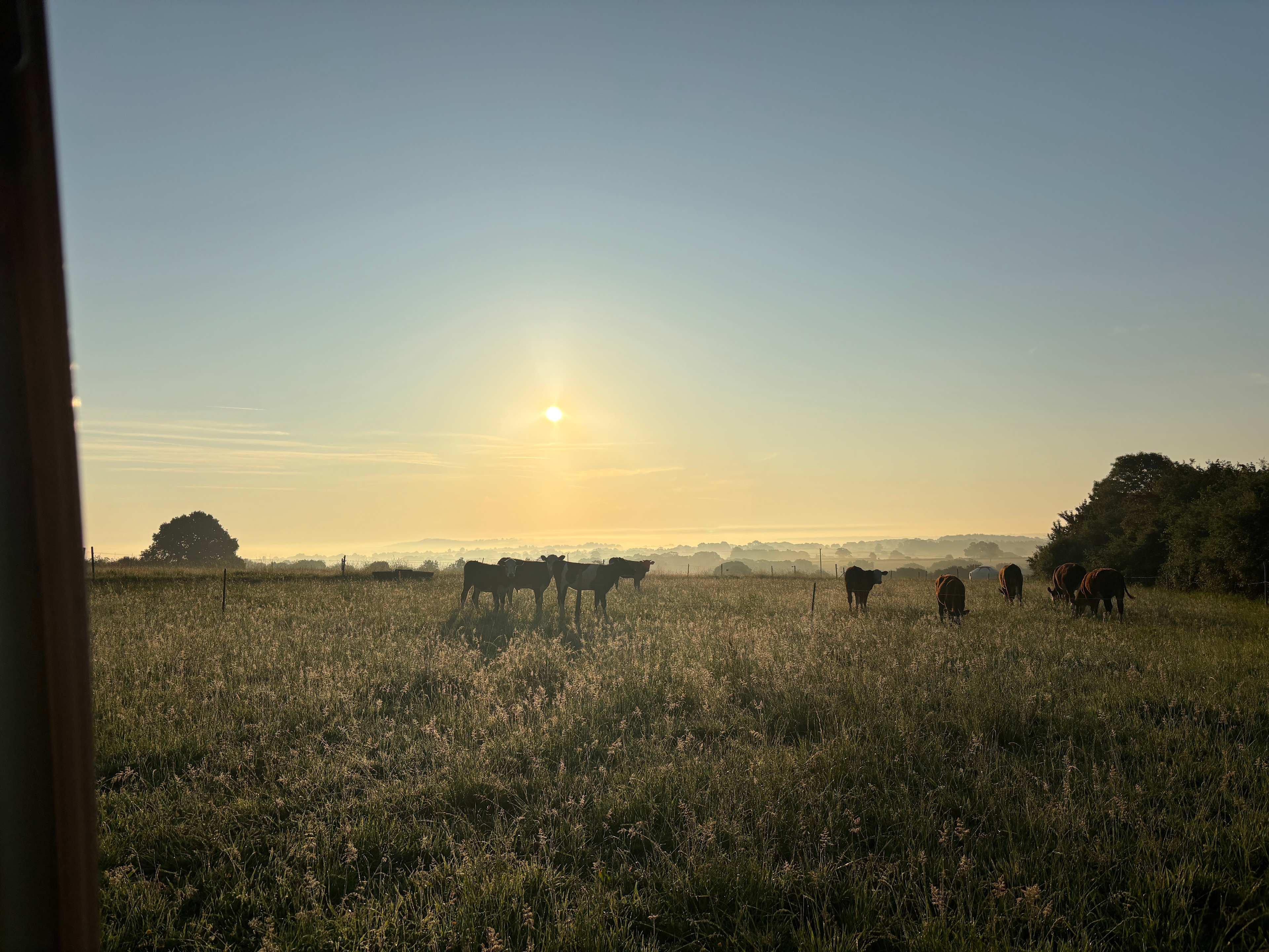 Liberty Farm Camping