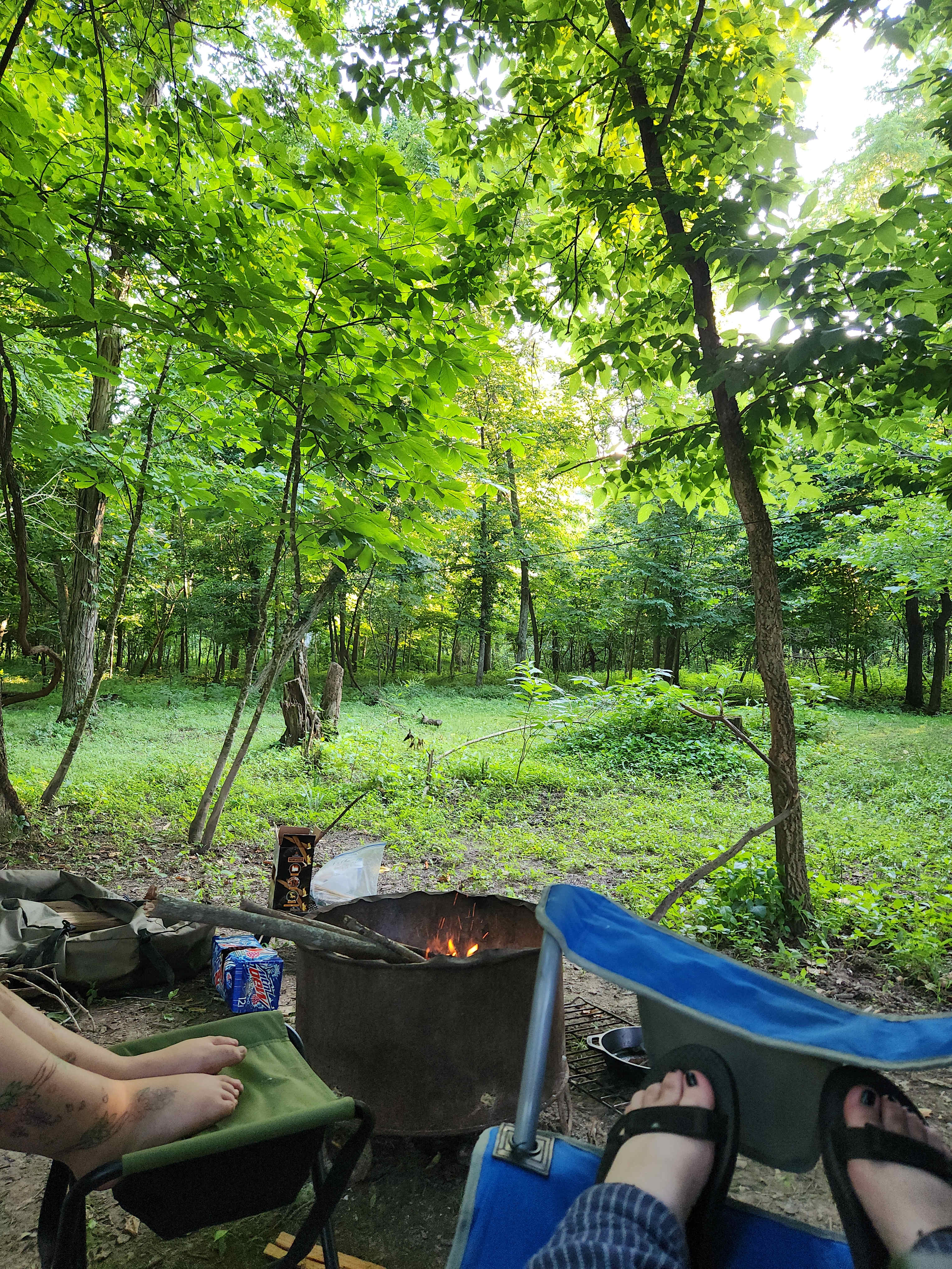 Gorgeous views of forestscapes by the fire pit.