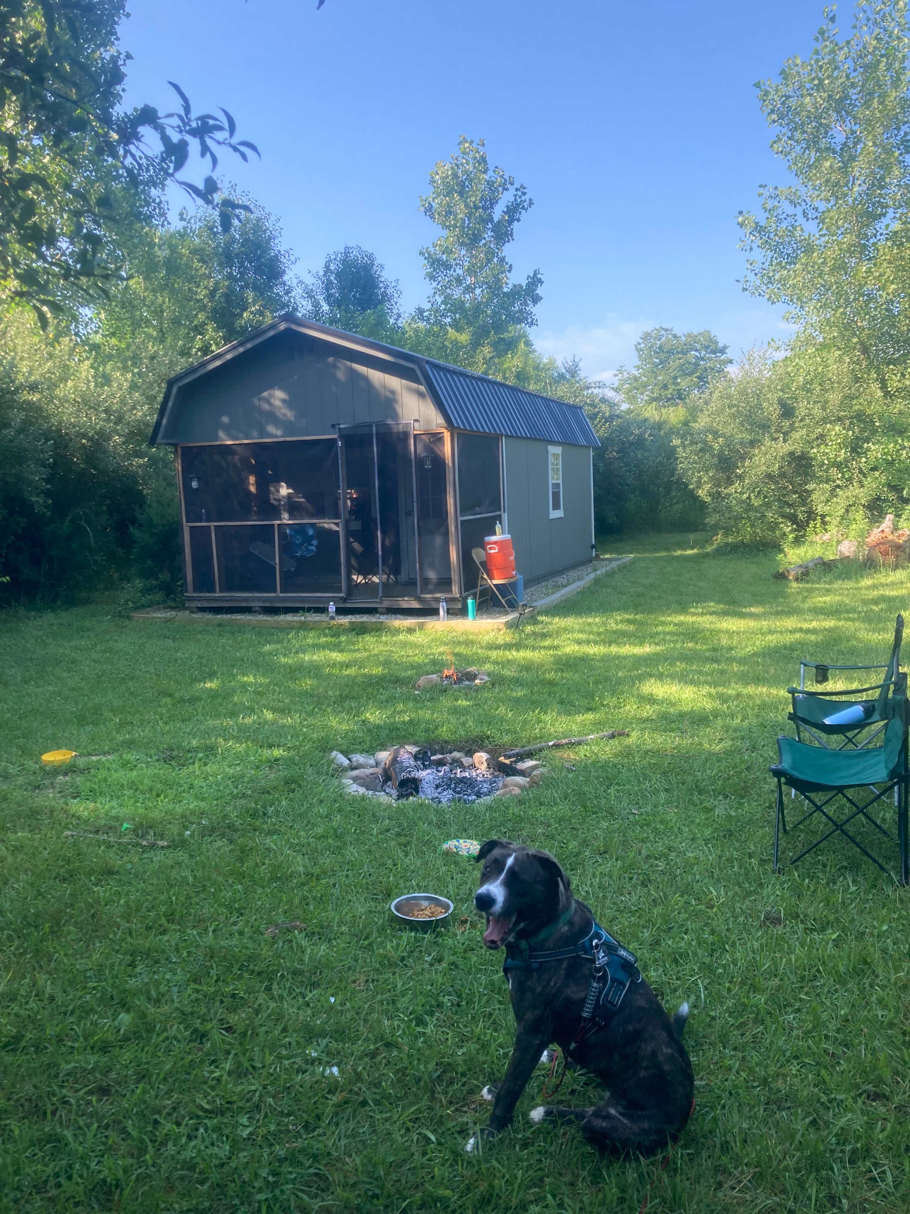 Camp Yellow Springs