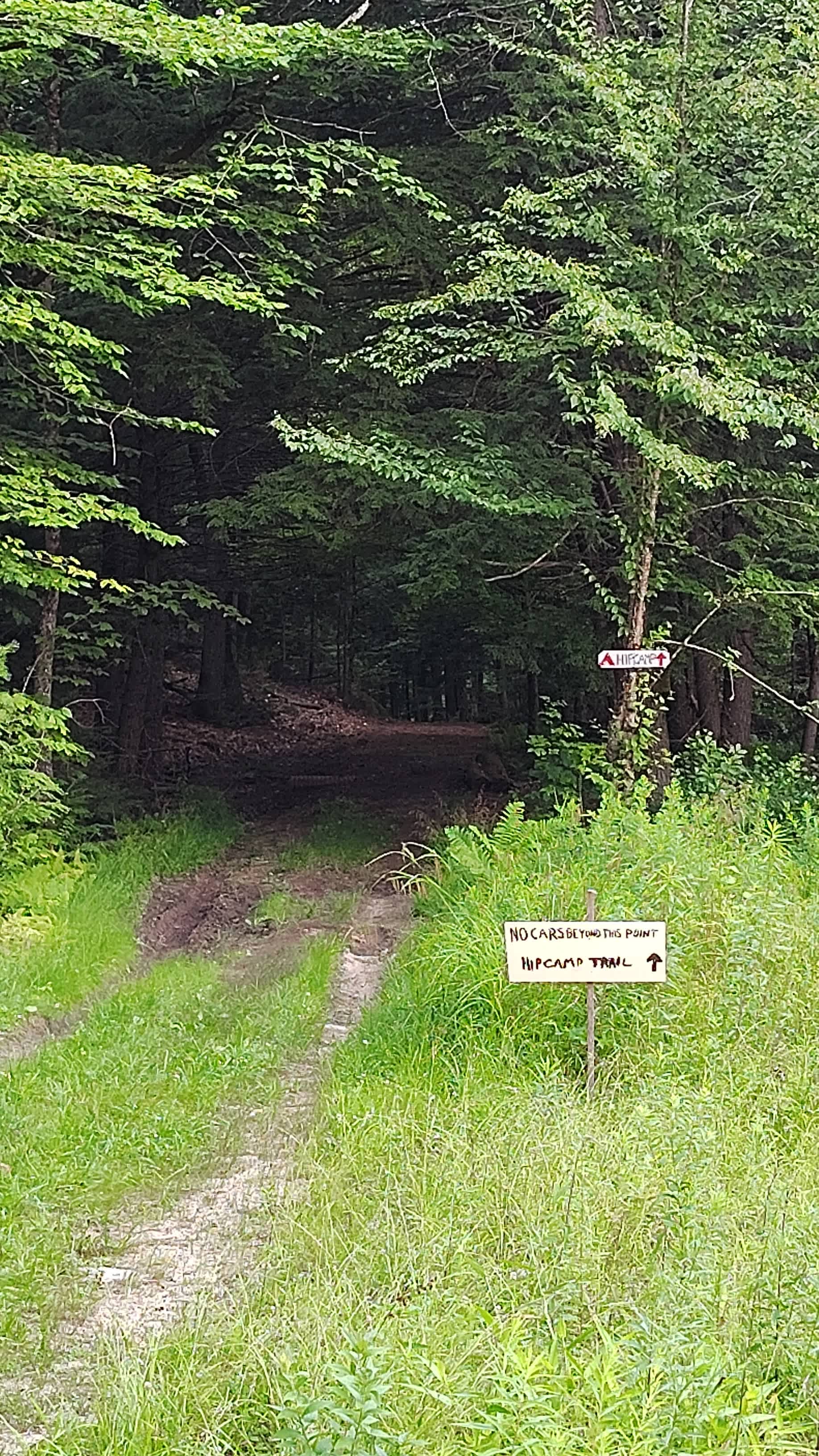 It was very easy to follow into the campsite 