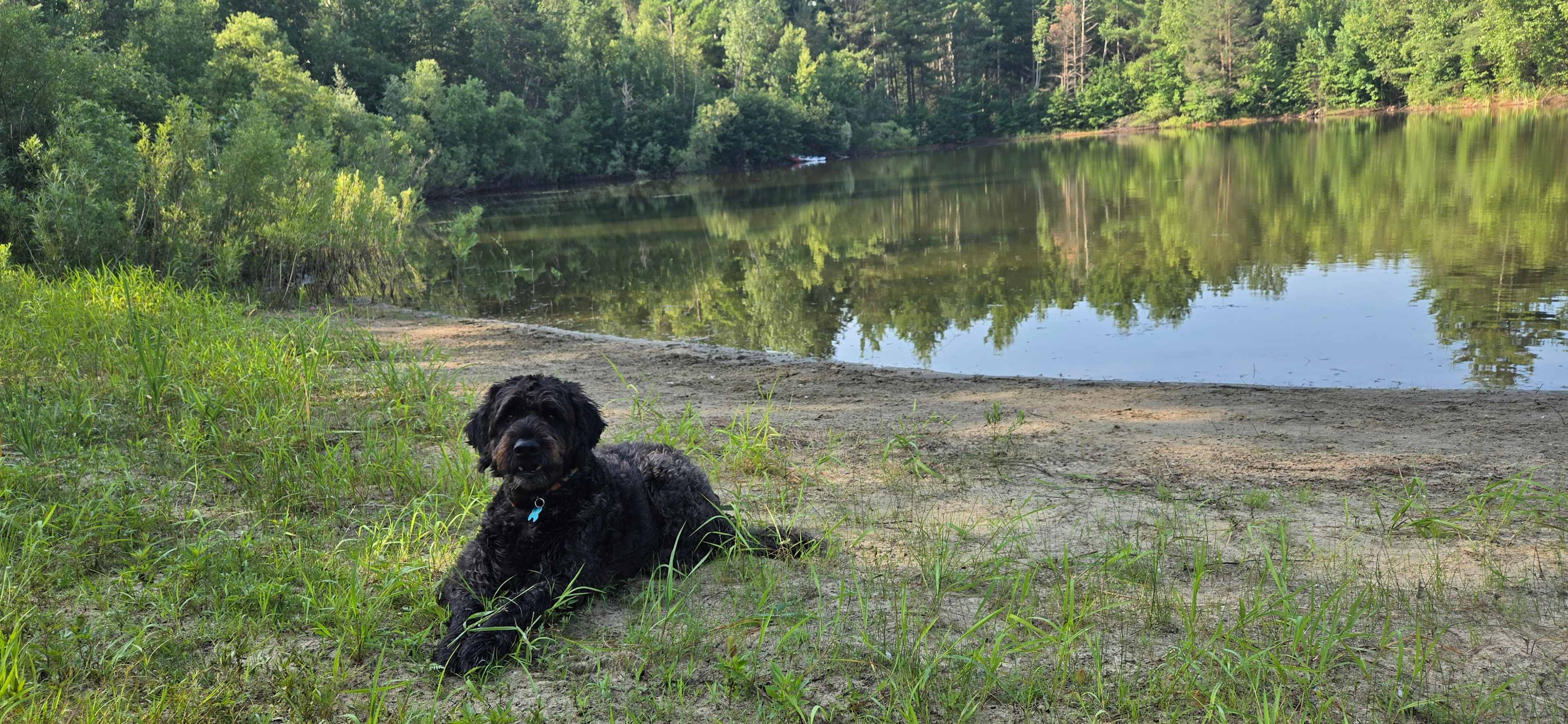Whispering Pines - Curran, Ontario