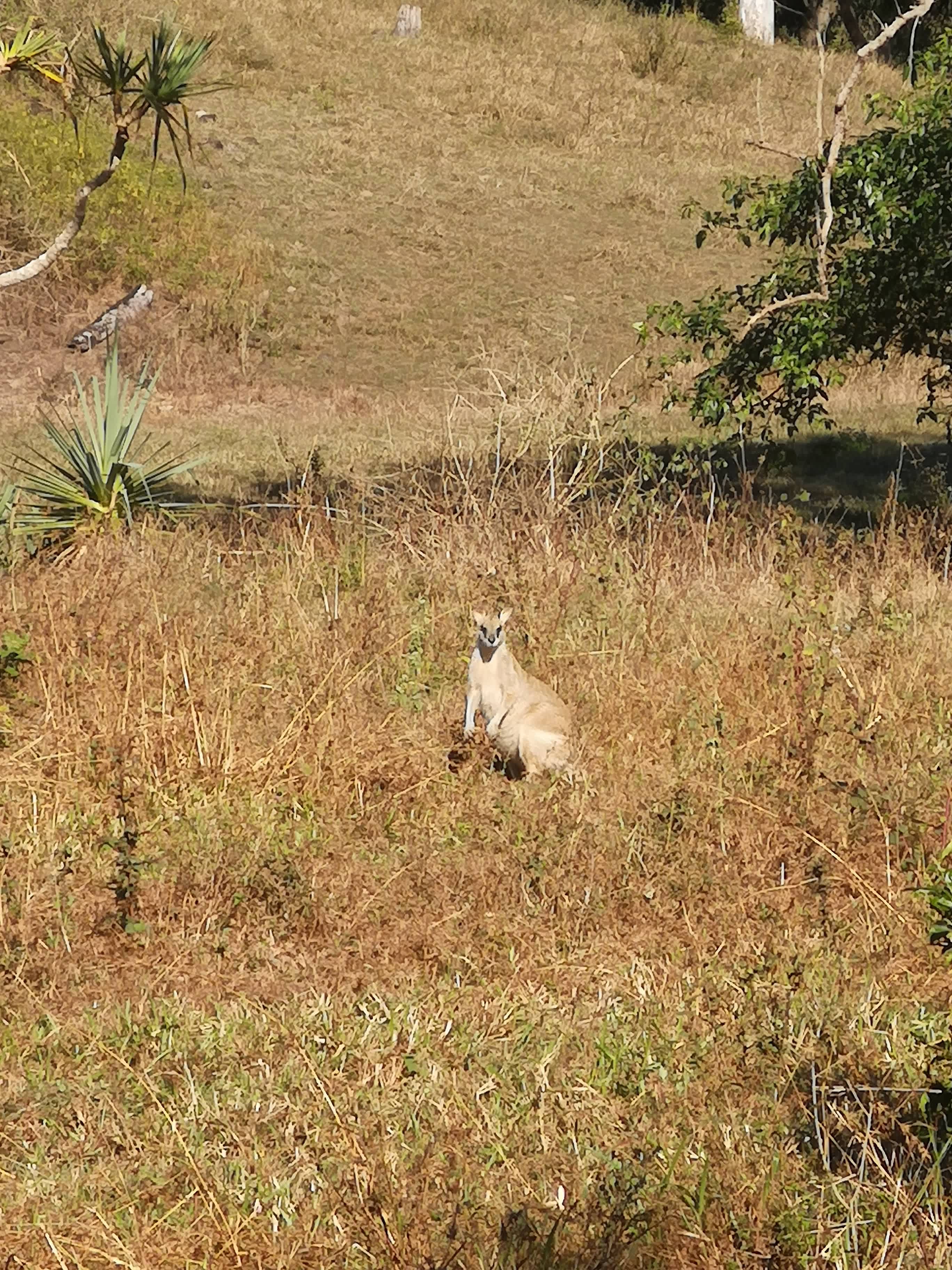 Blue Tree Campground