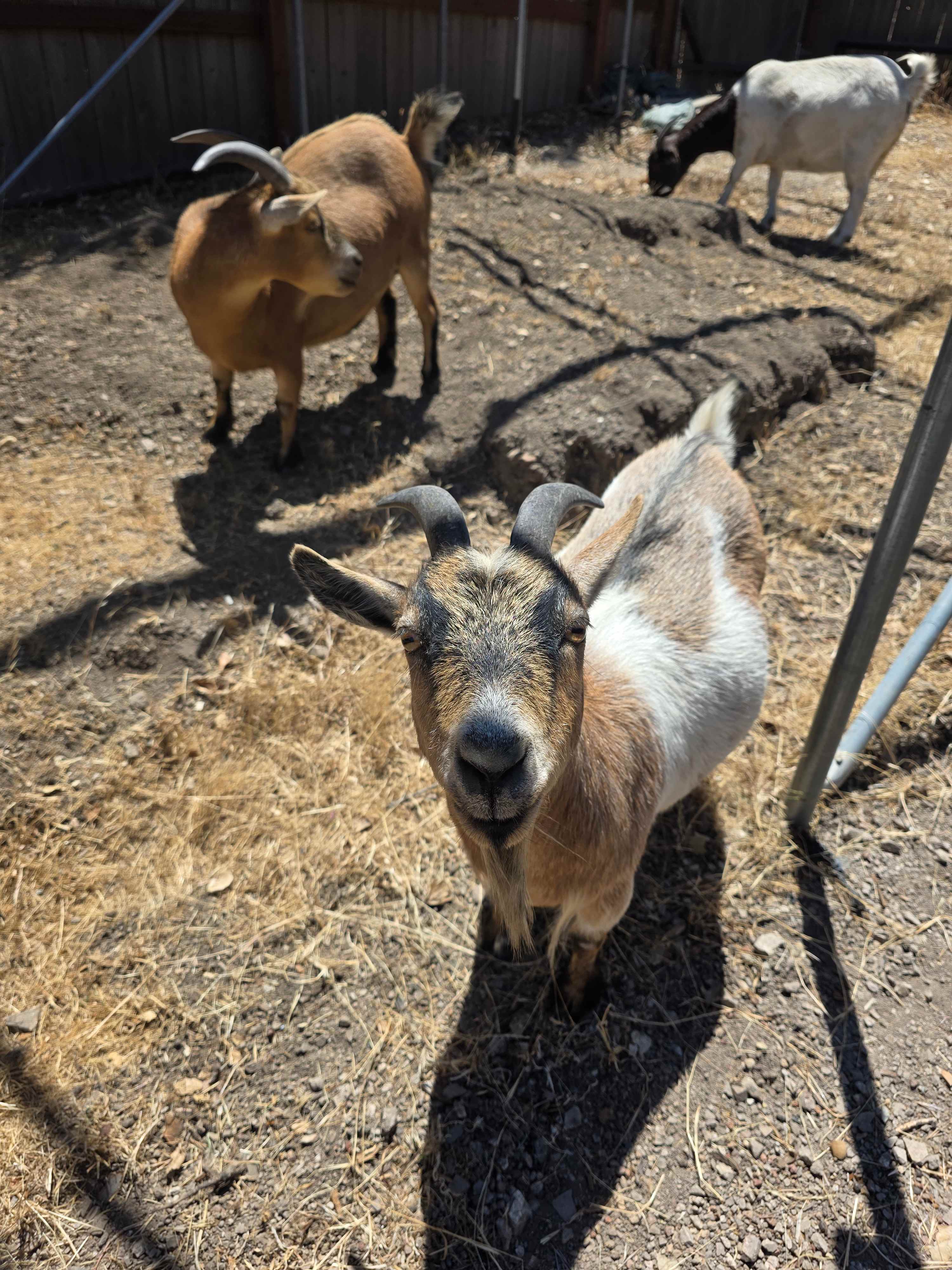 Mt Rancho (FKA La Montaña Ranch)