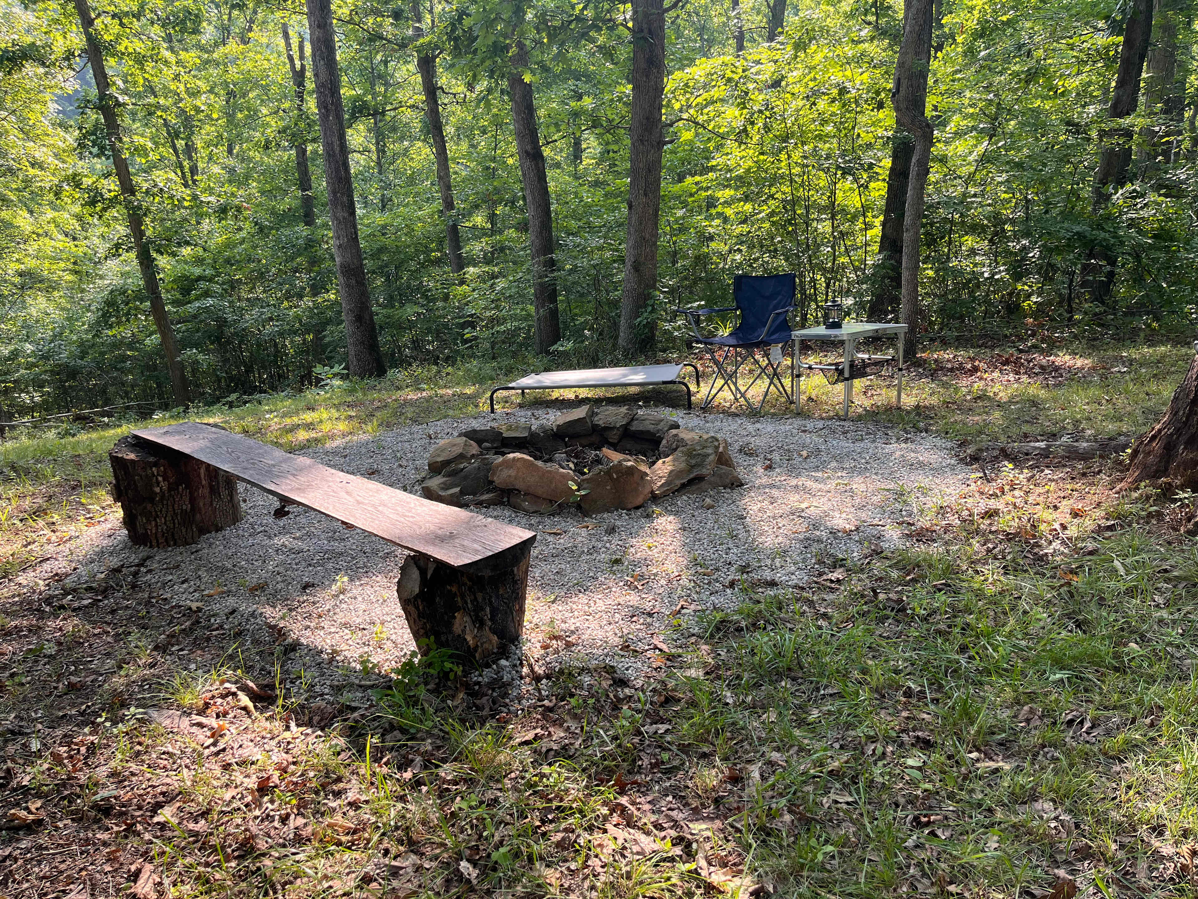 Picture of the site