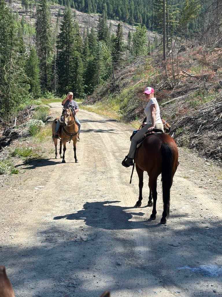 BnR Horse Ranch