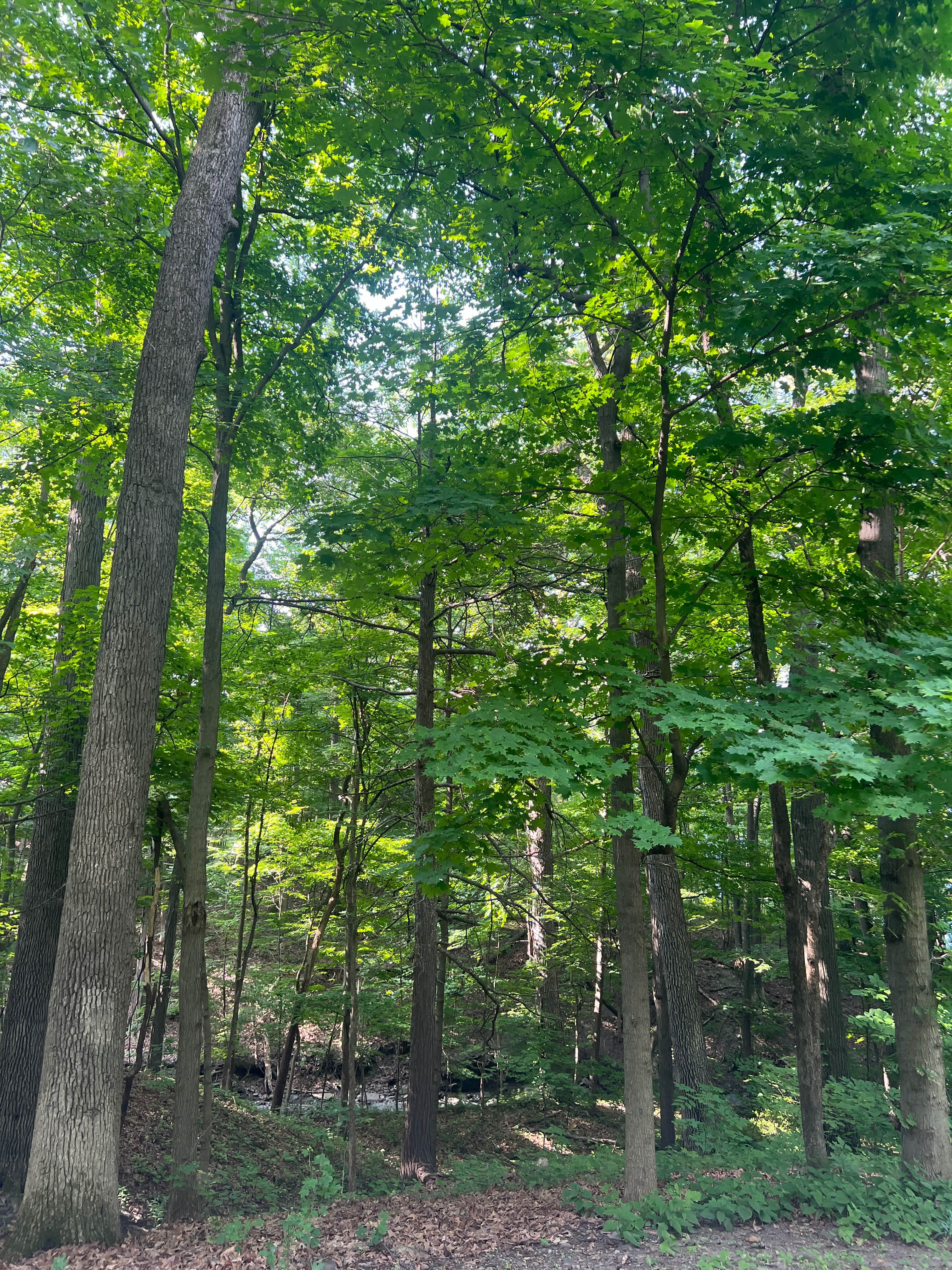 Smith Memorial Park Campground