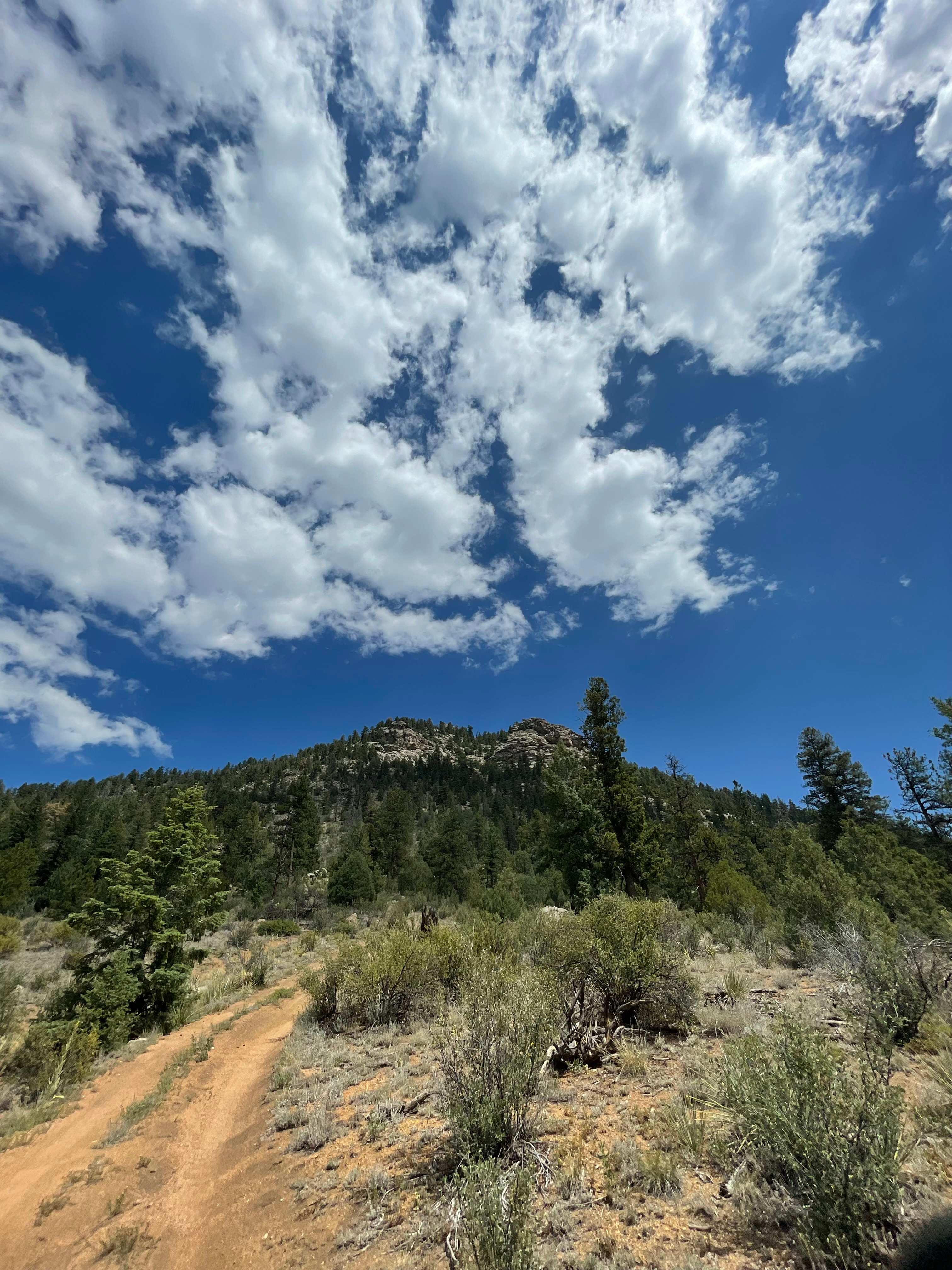 Serenity in the Foothills
