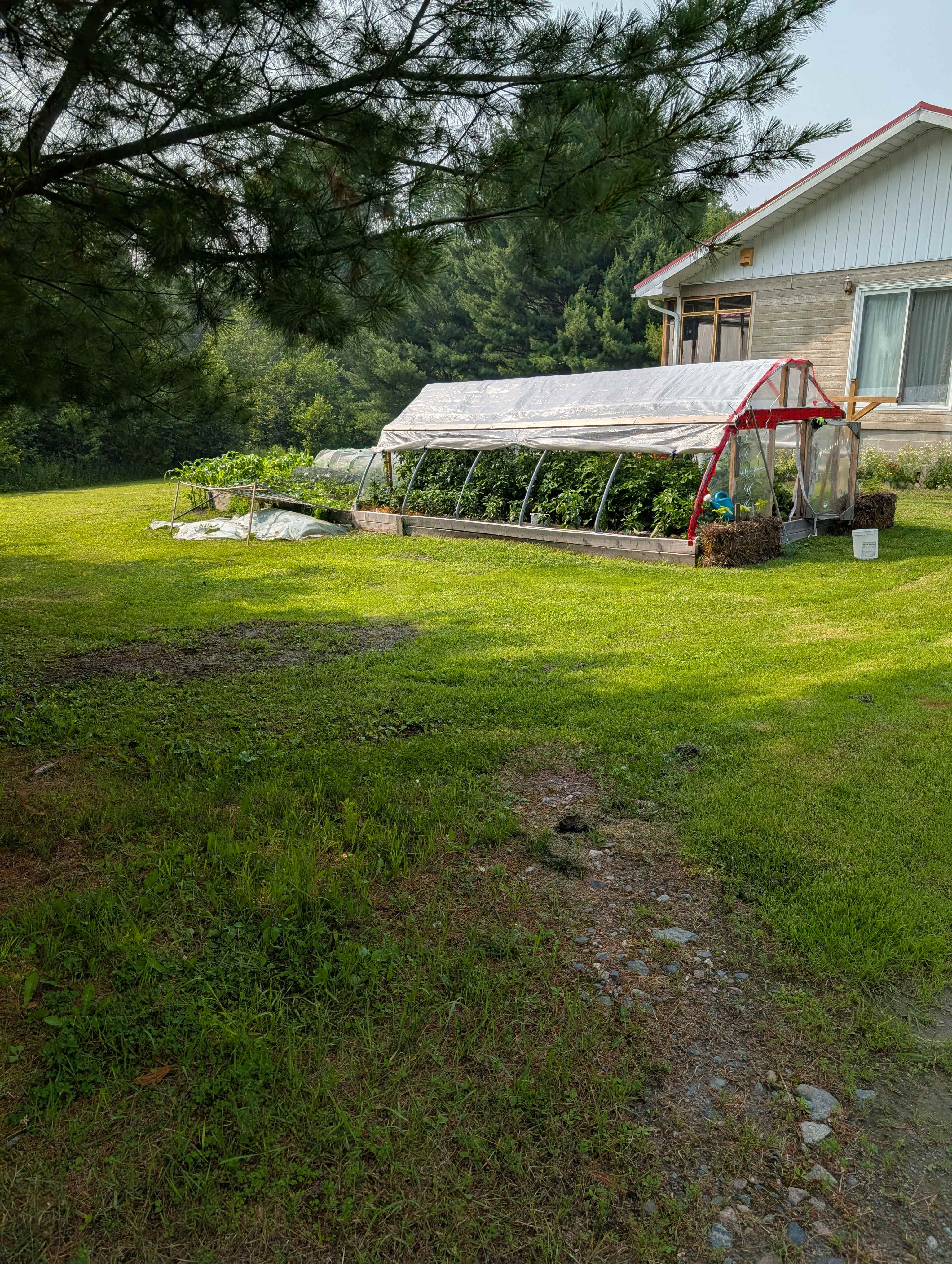 Suzie-Q's Homestead