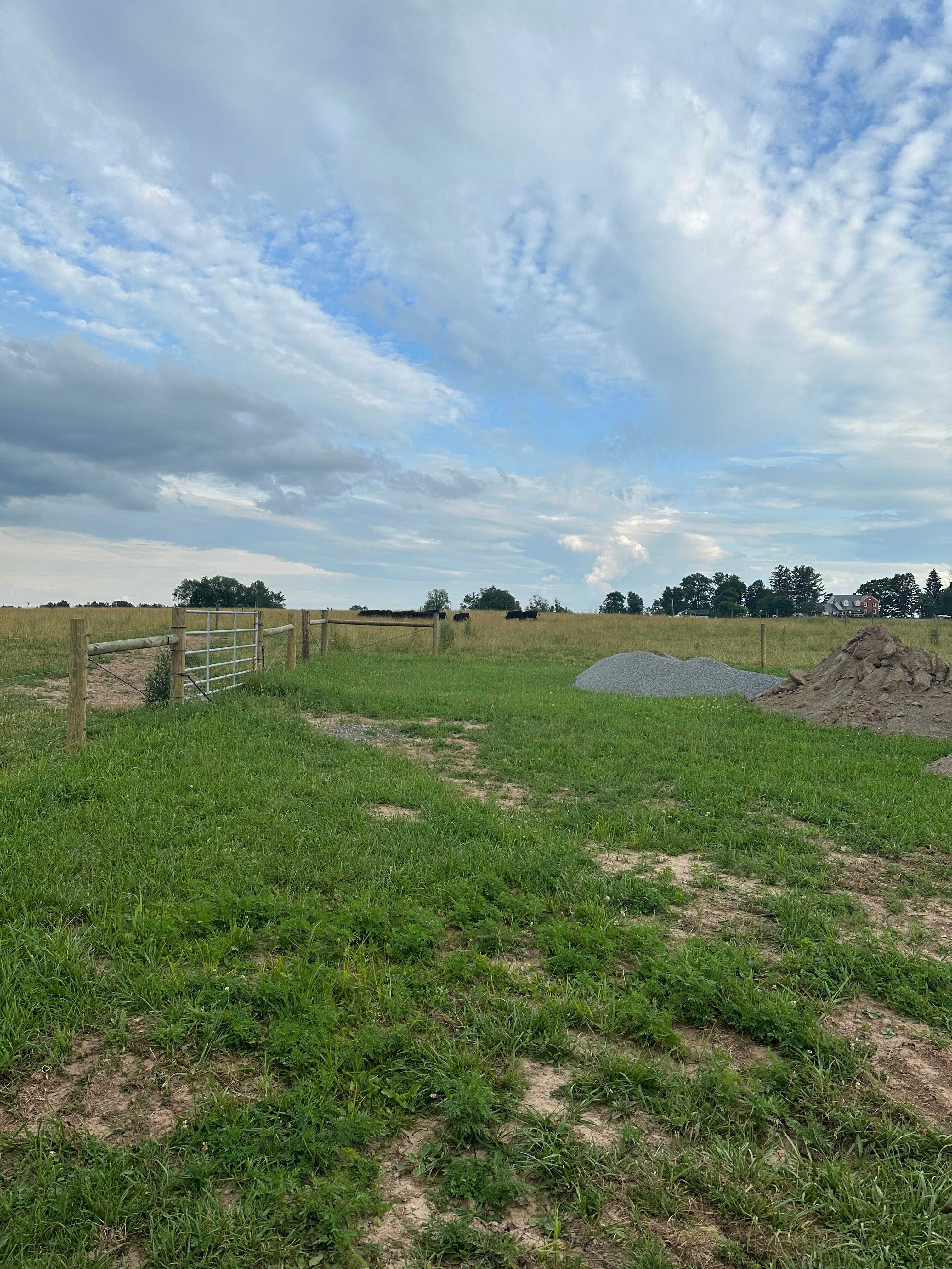 Tilden Hill Farm