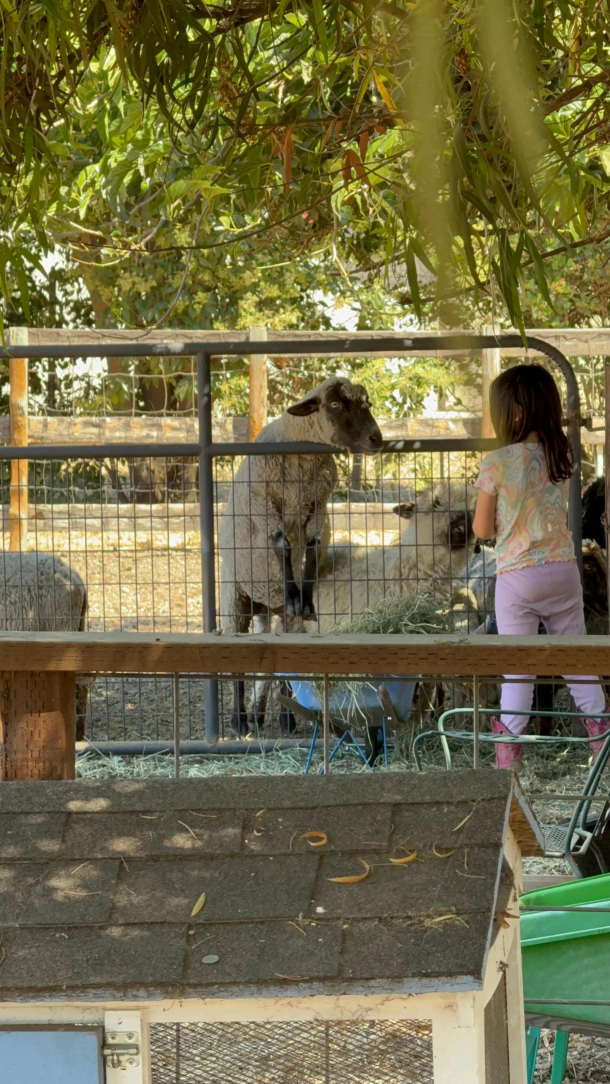 Windsor Family Farm