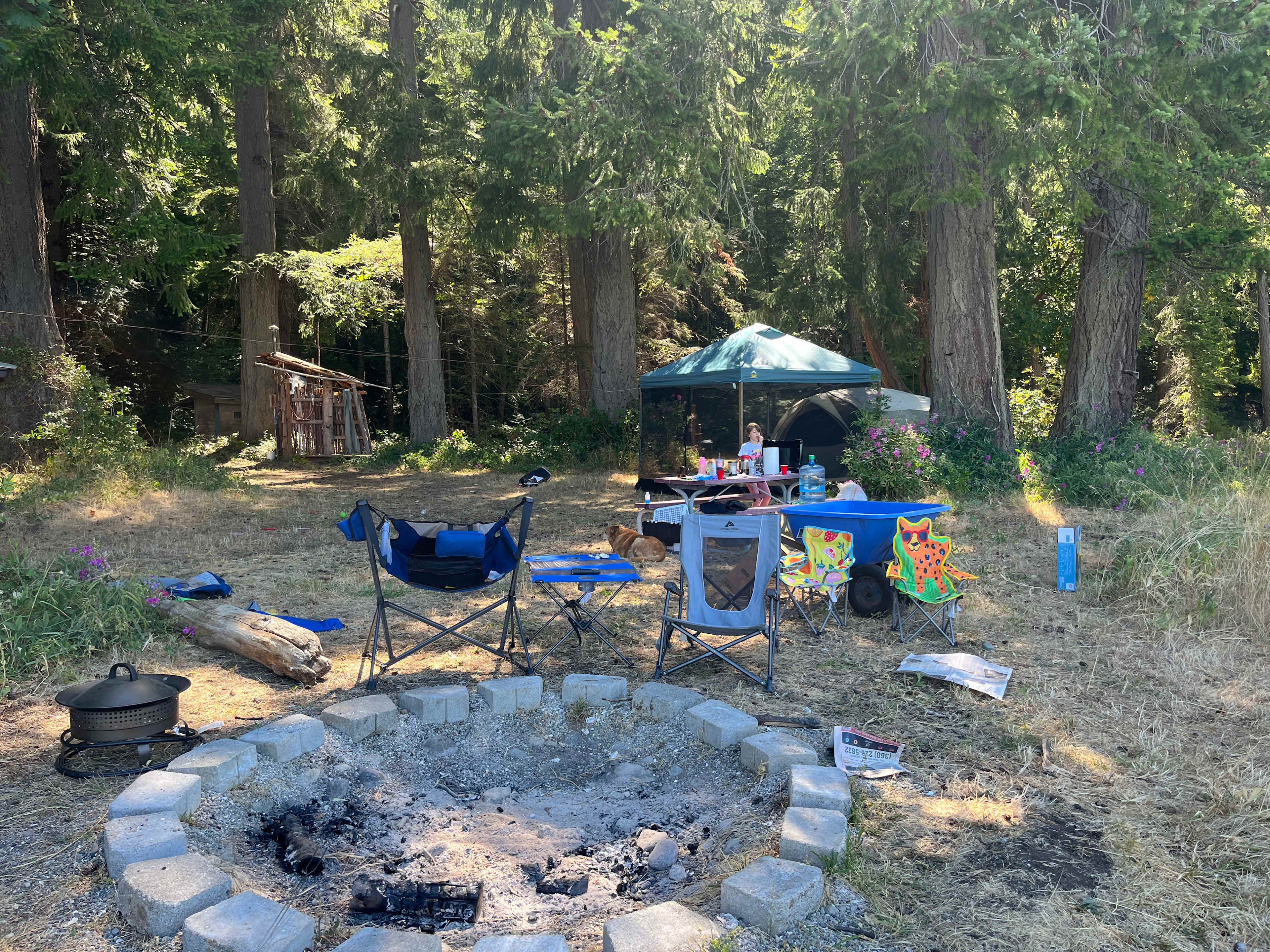 Woodland Grove on the Coast