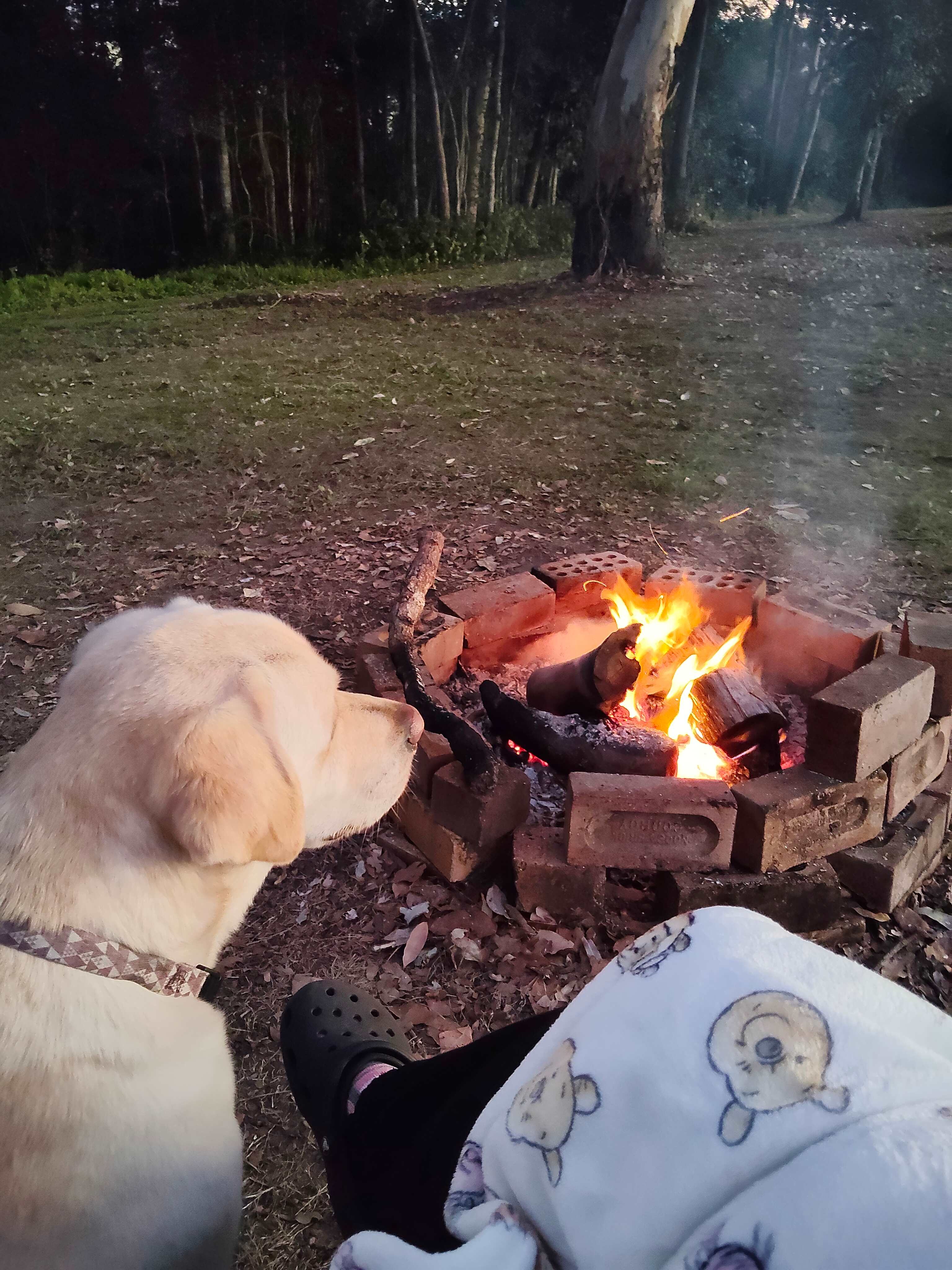 Provided fire pits to use was fantastic 