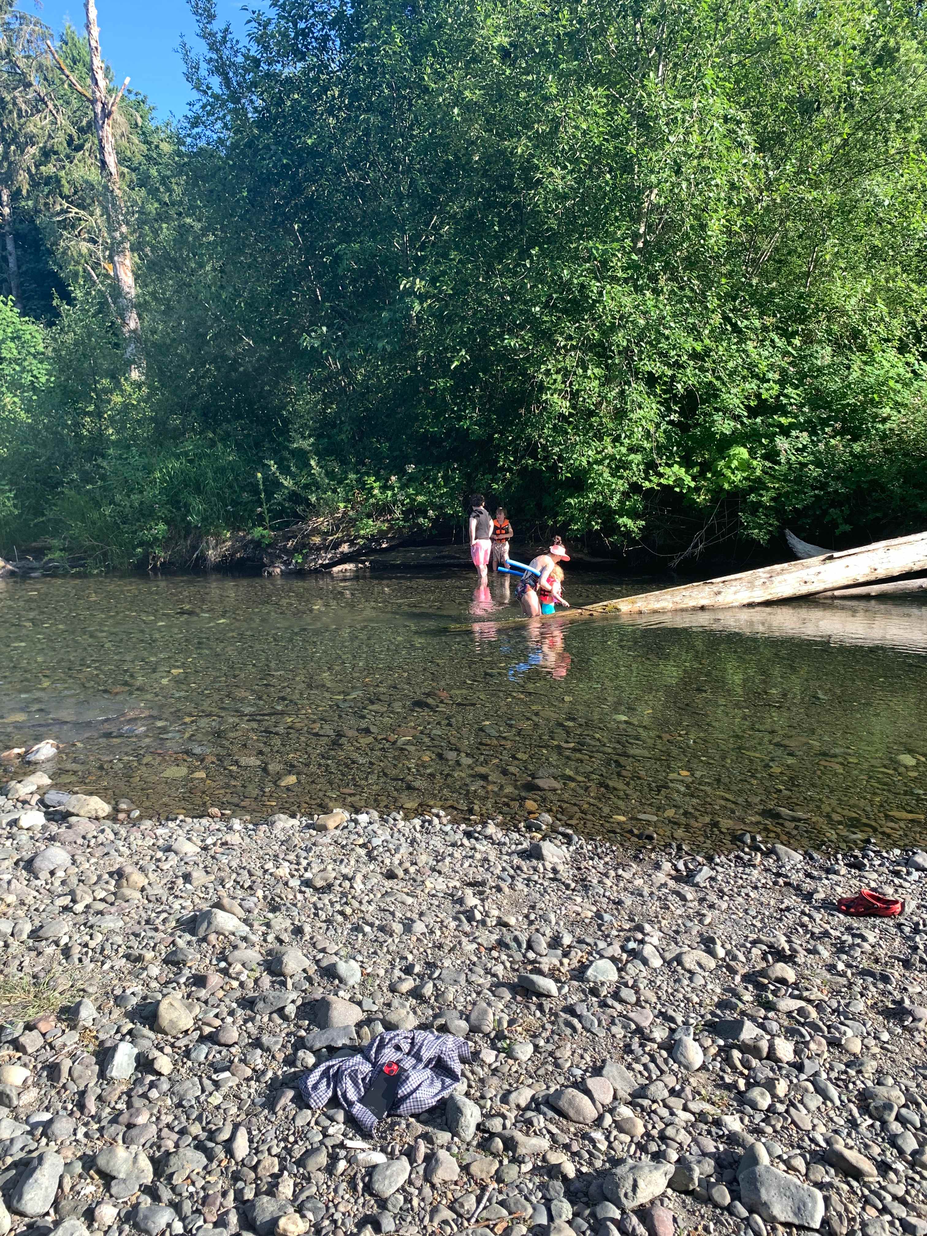 cooling off at the river