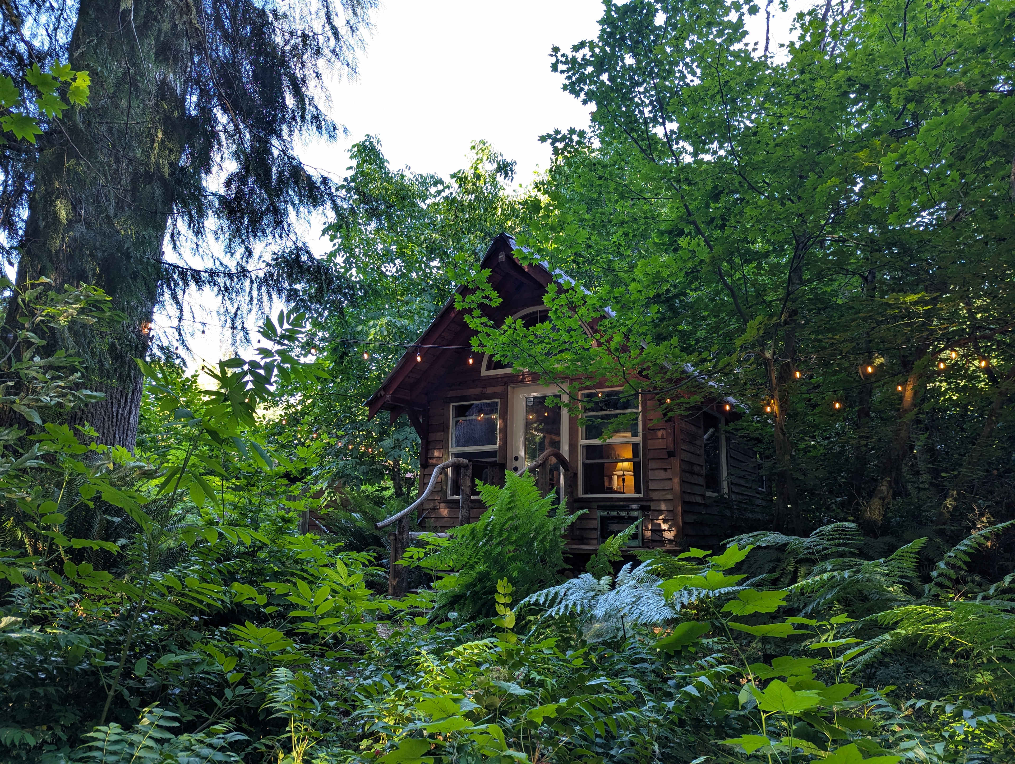 Nature Camp, Cabin and Farm