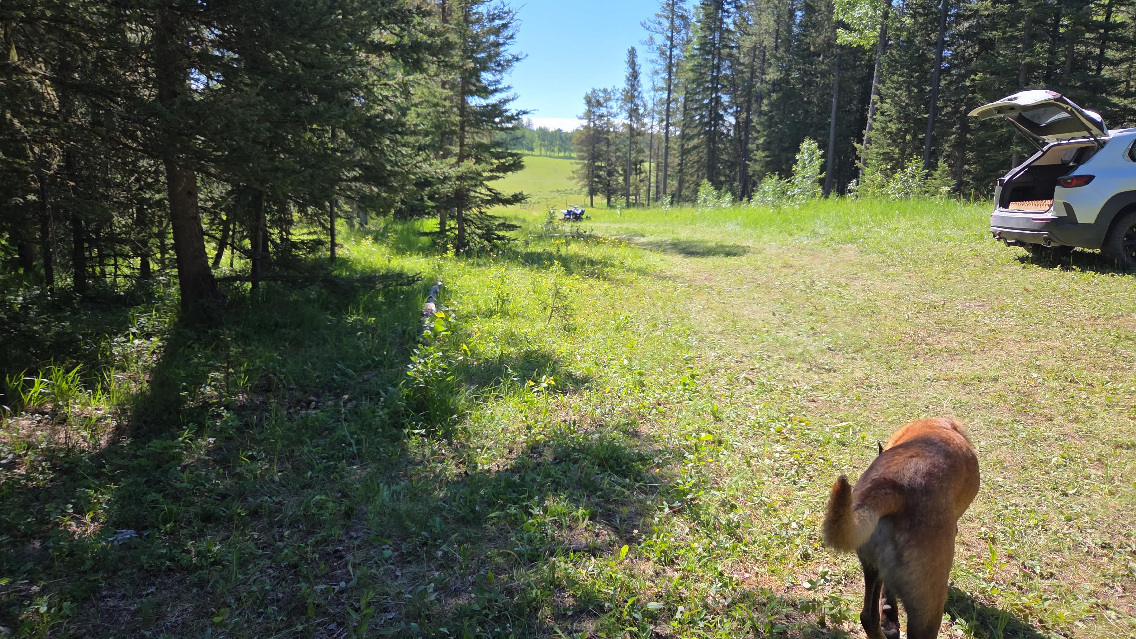 Rough Diamond Ranch Alberta