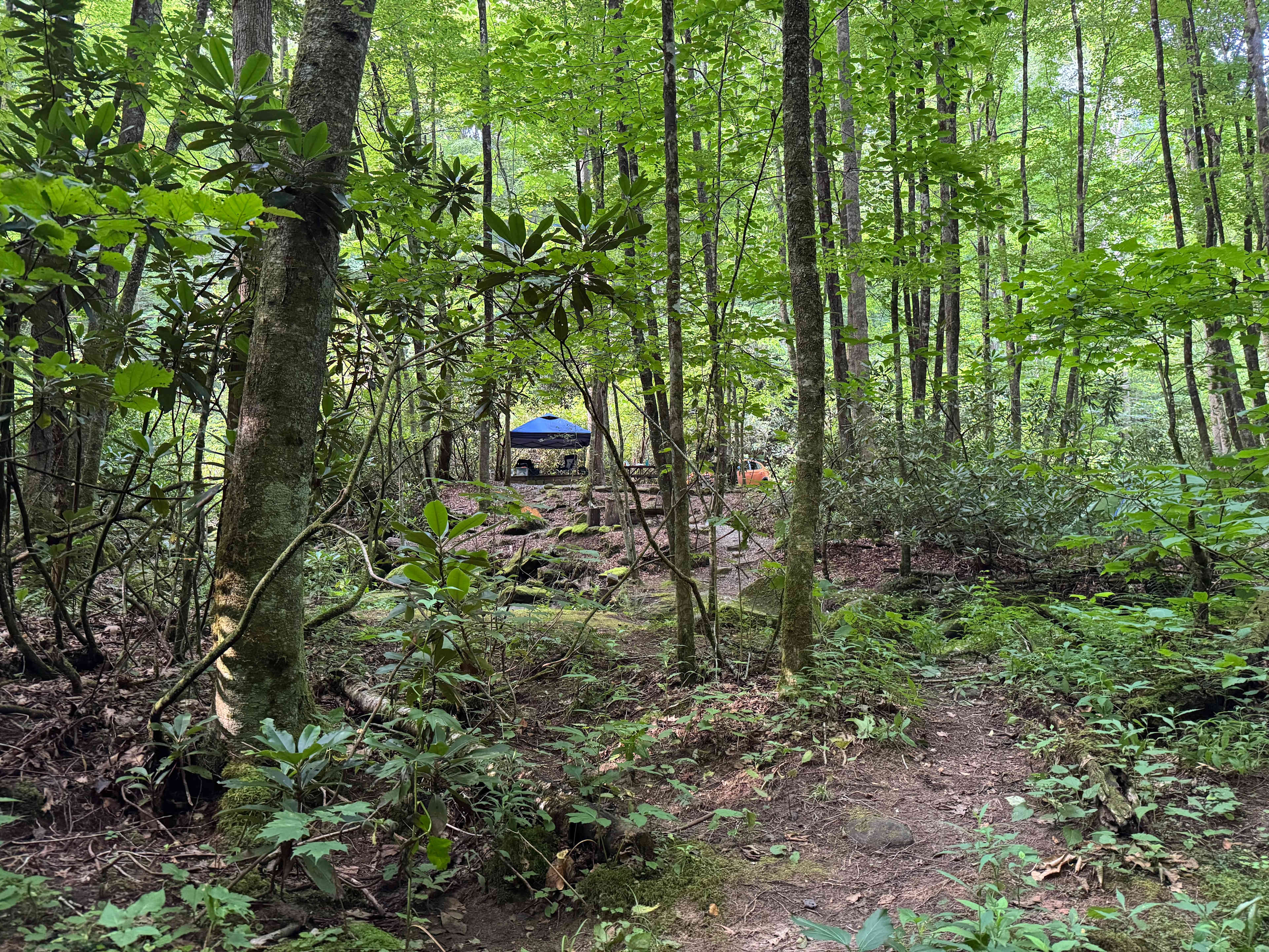 Mountain Creek Rest