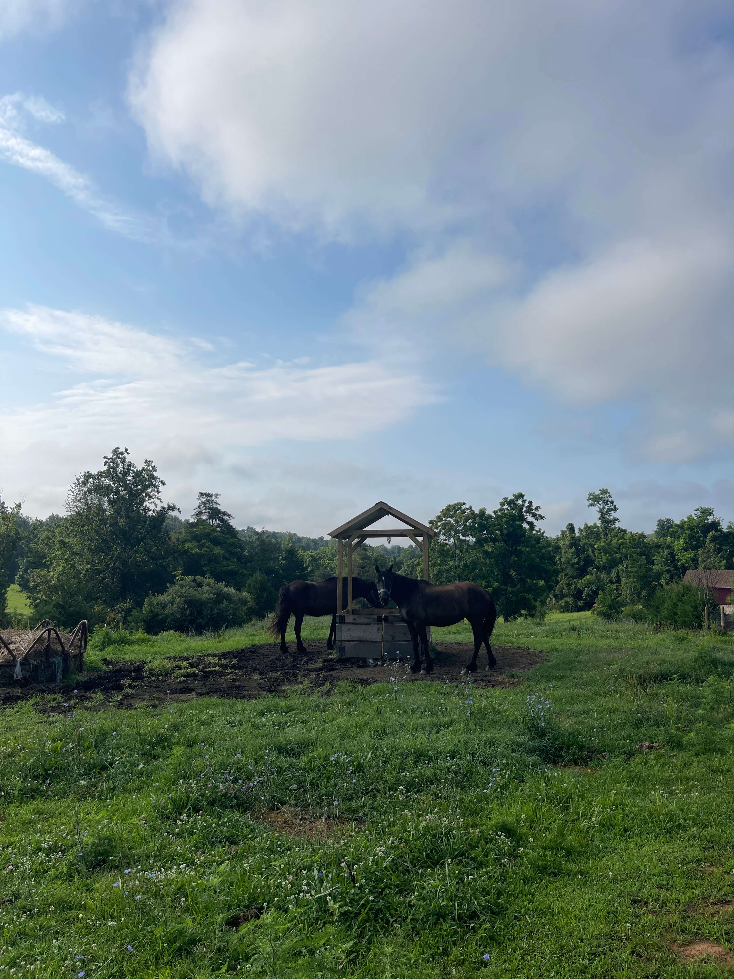 Narrow Gate Farm