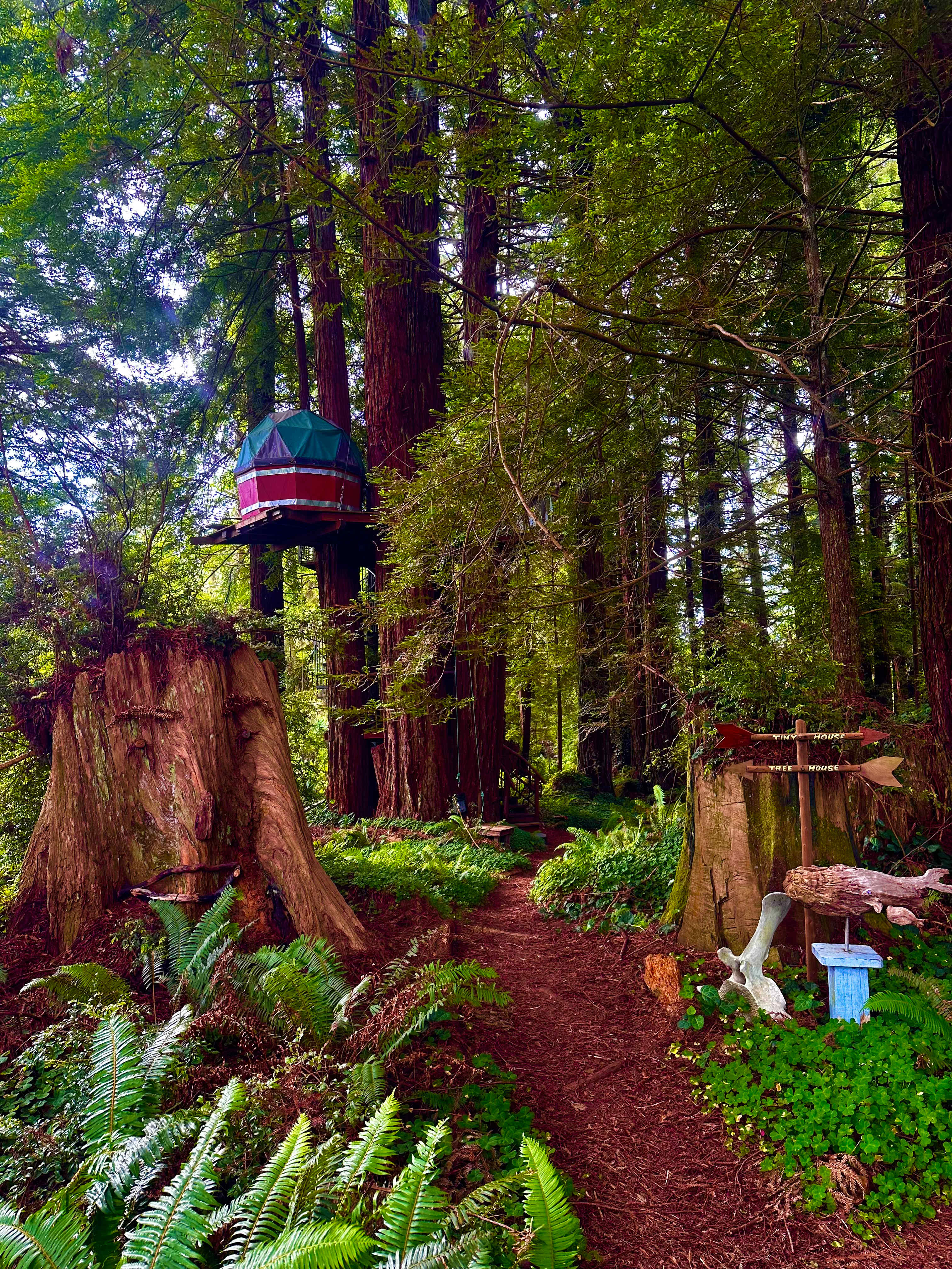 Redwood Retreat