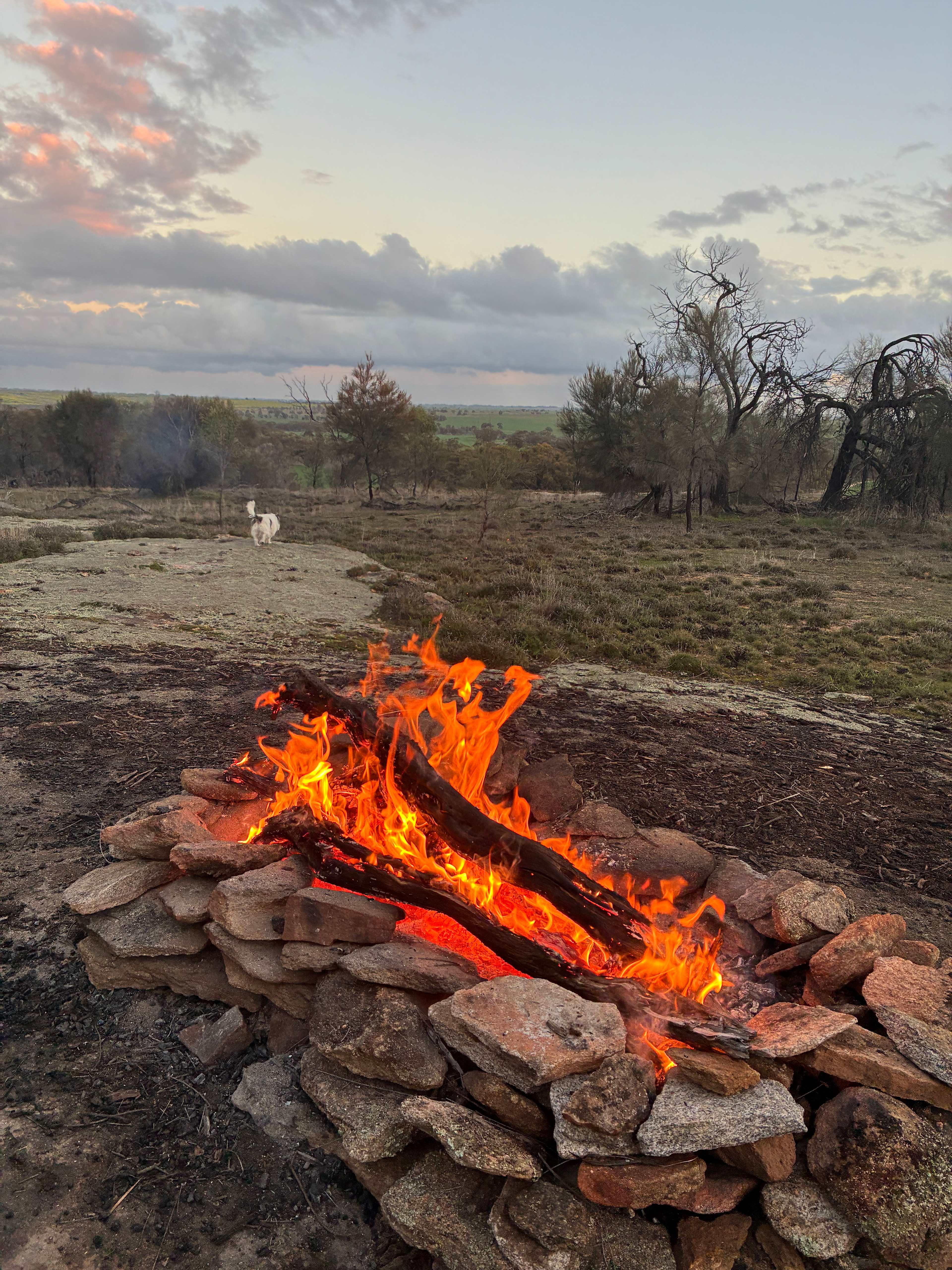 Qualin Farm bush camp
