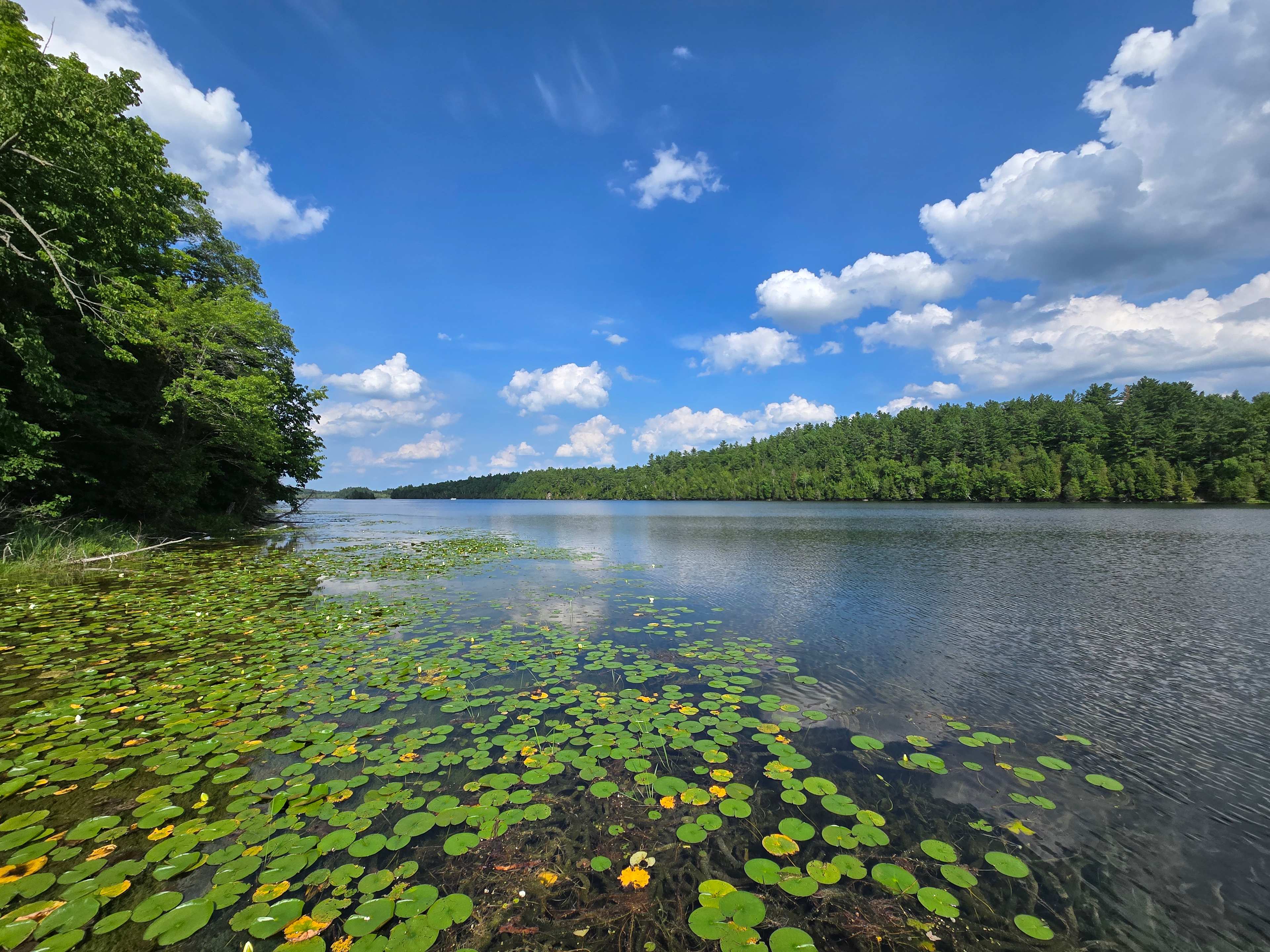 Fagan Lake Heights