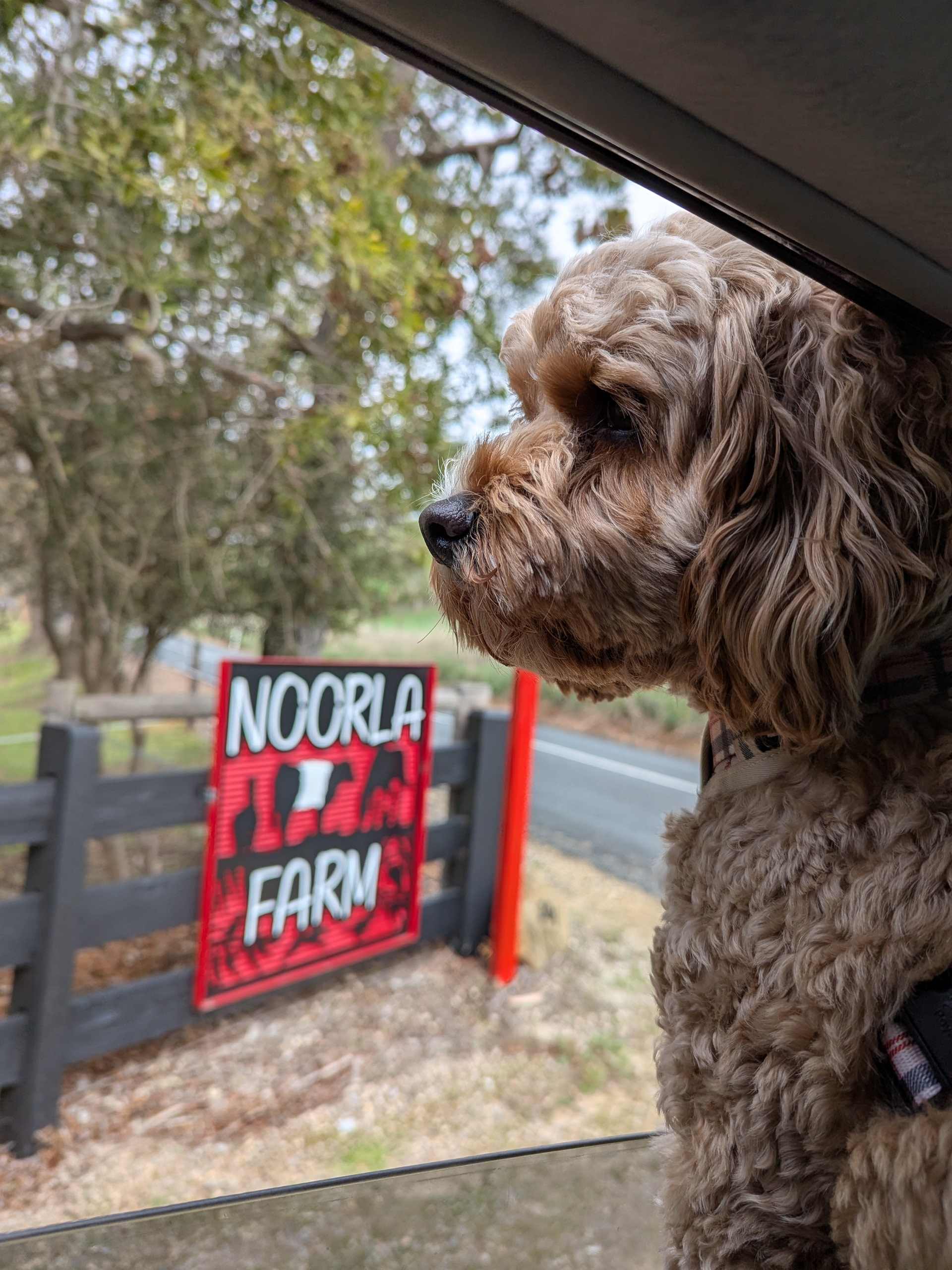 Noorla Farm (Happy Camping Ground)