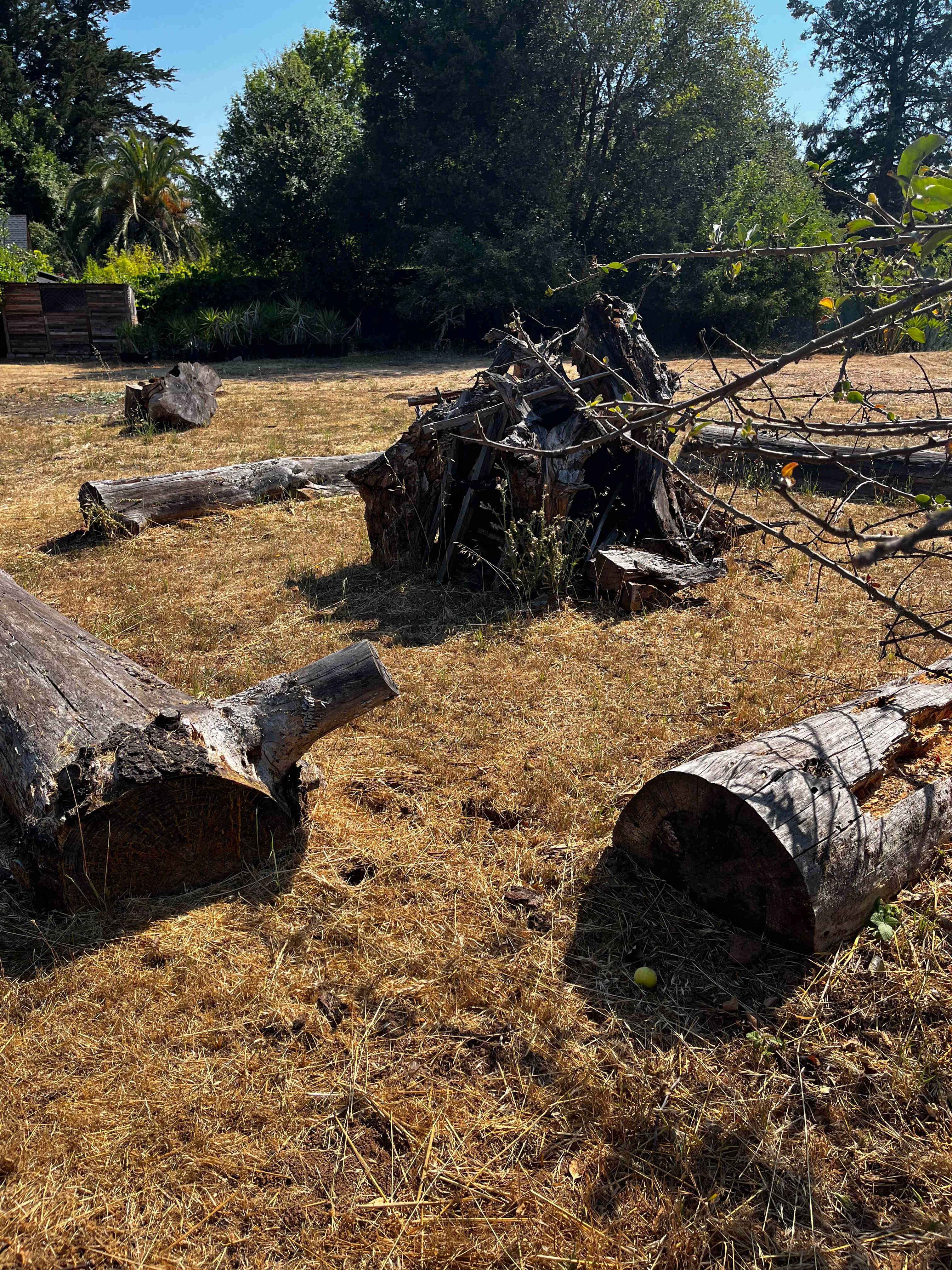 Rancho Laslendini