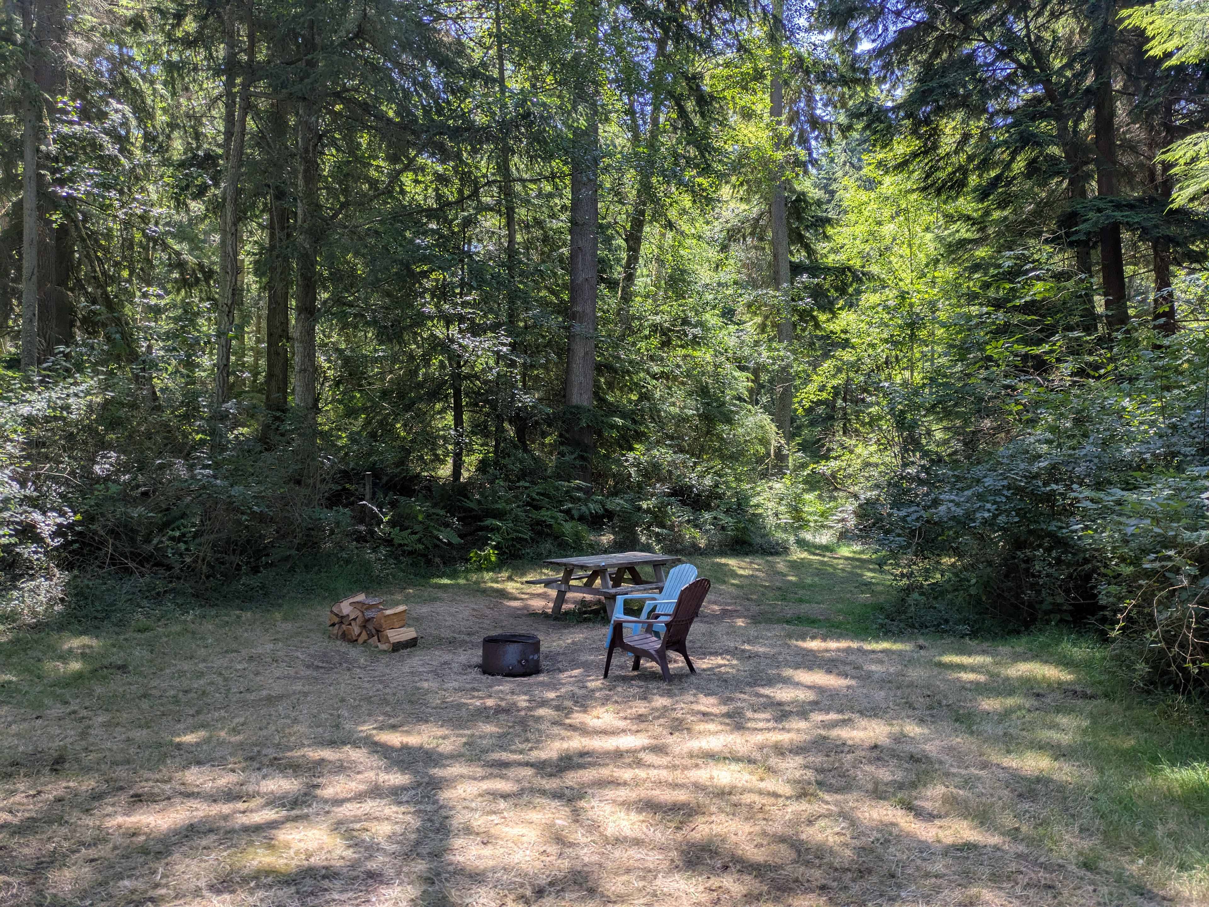 Fern Gully Camp