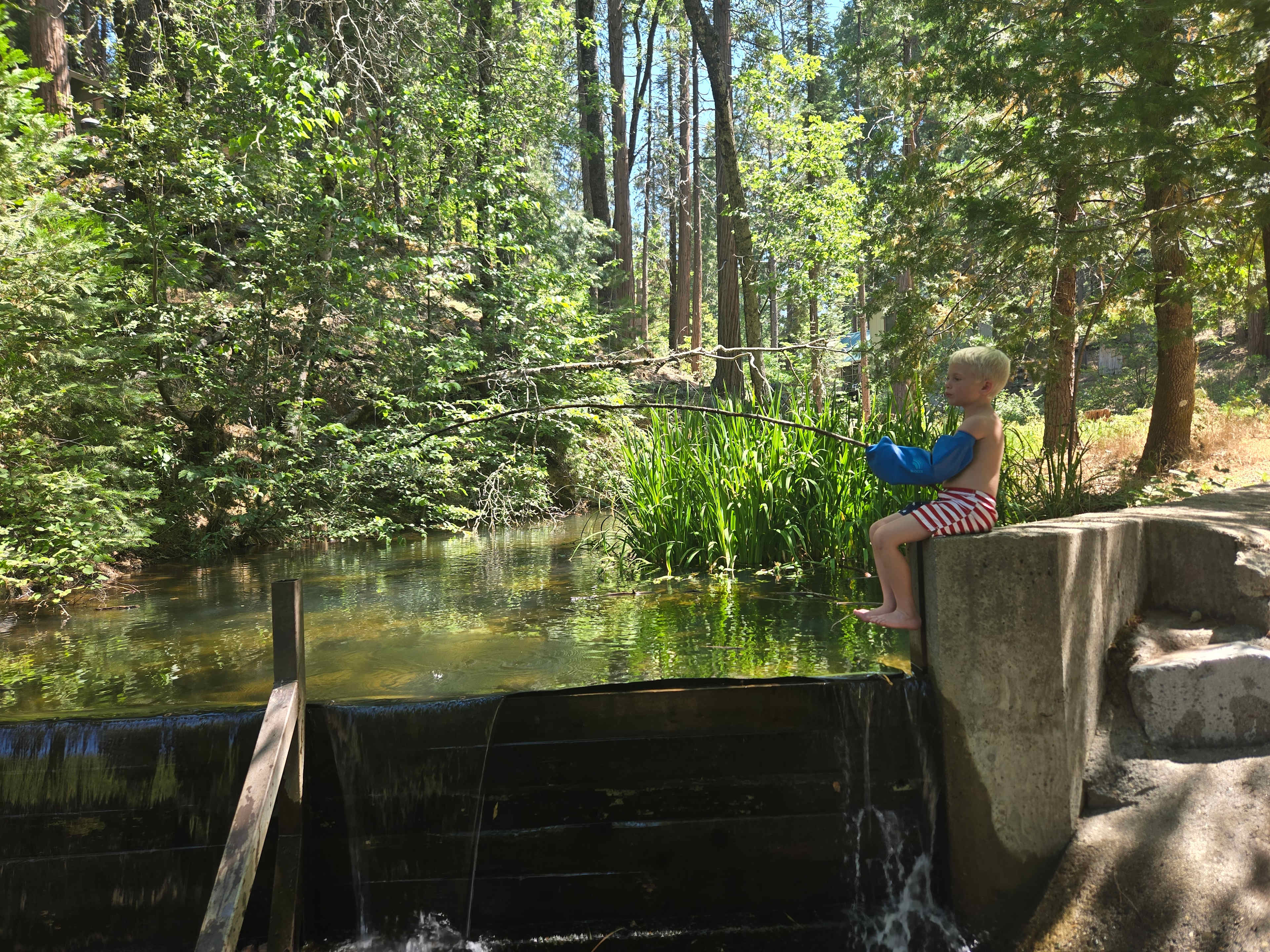 Shangrilog Near Yosemite