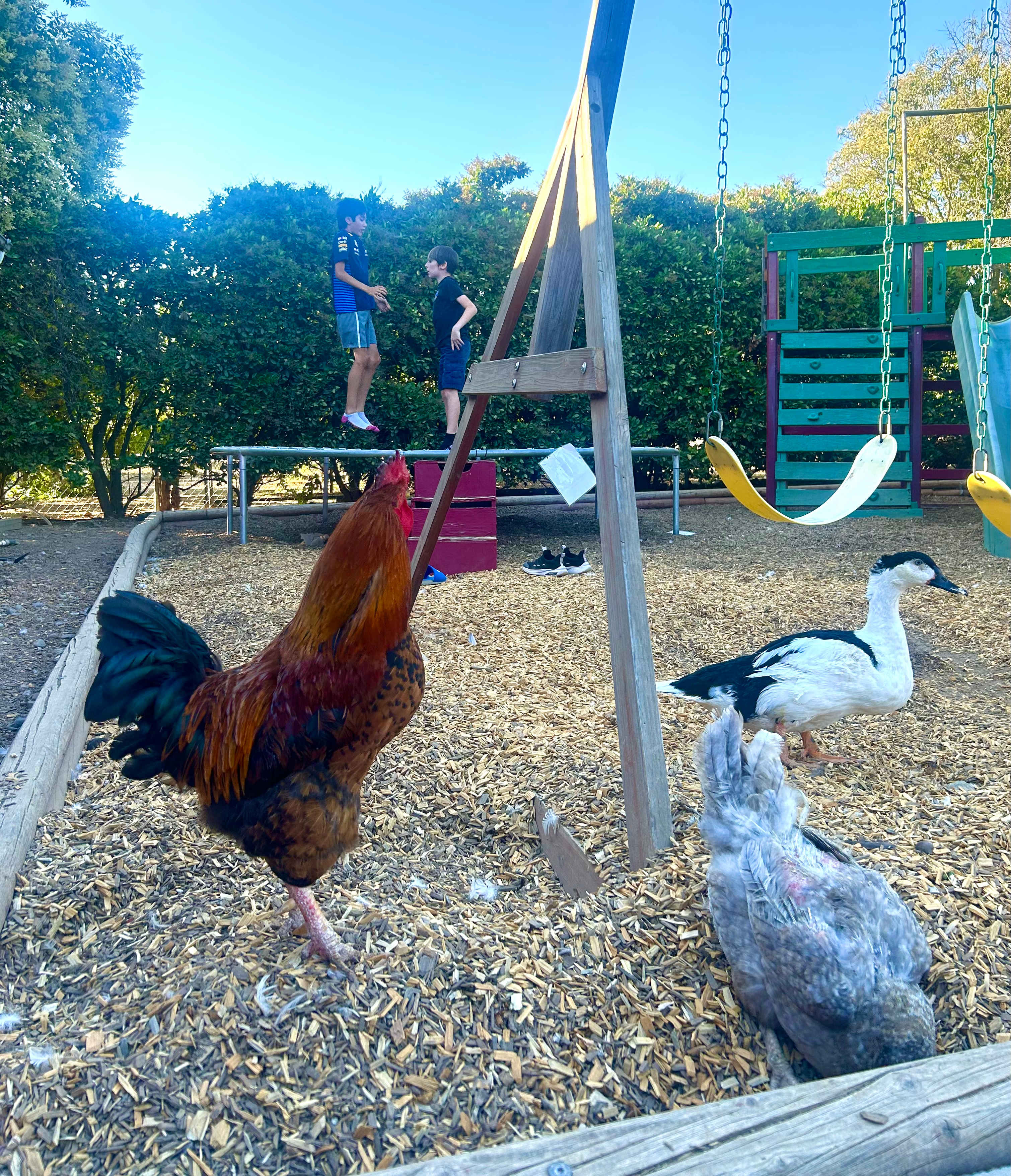 Windsor Family Farm