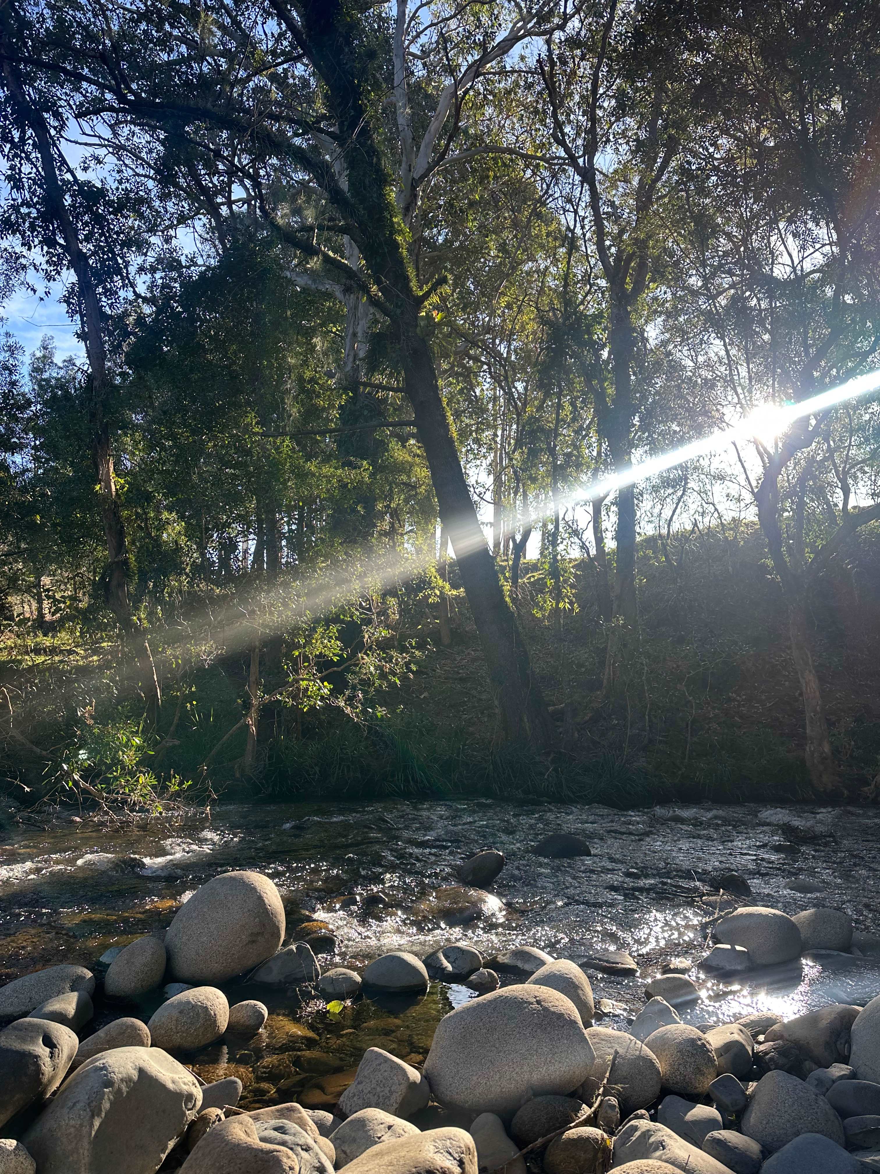River Front Campsites