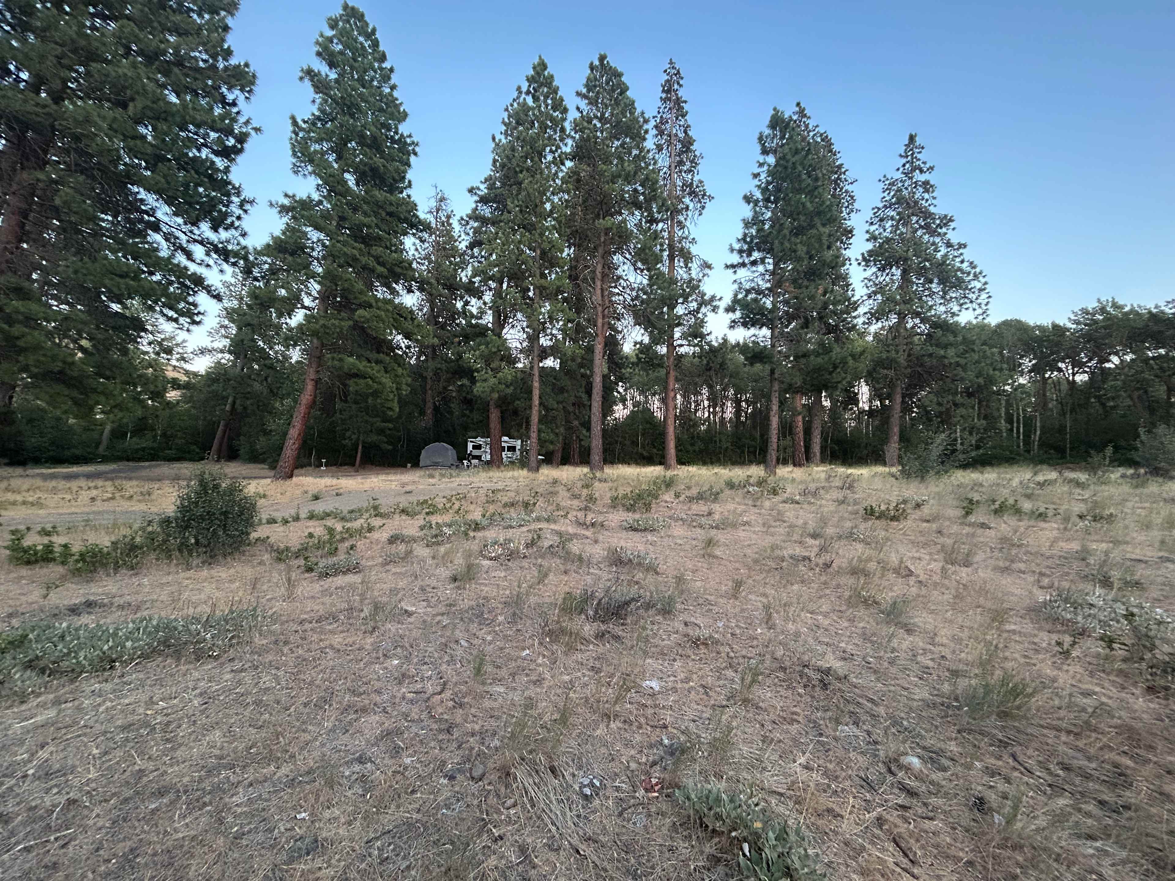 Duke’s Roost 