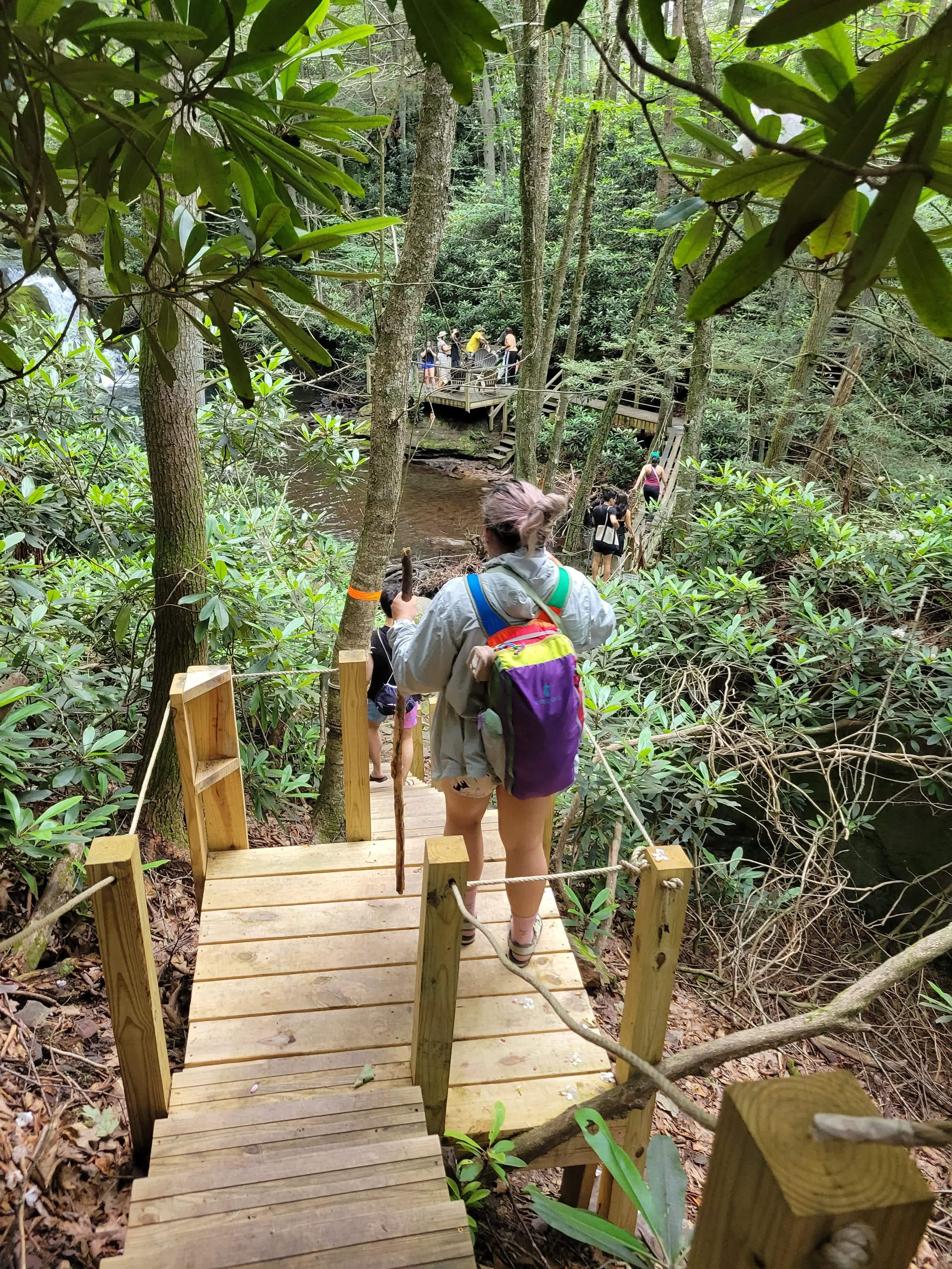 Rope bridge en route to waterfalls 
