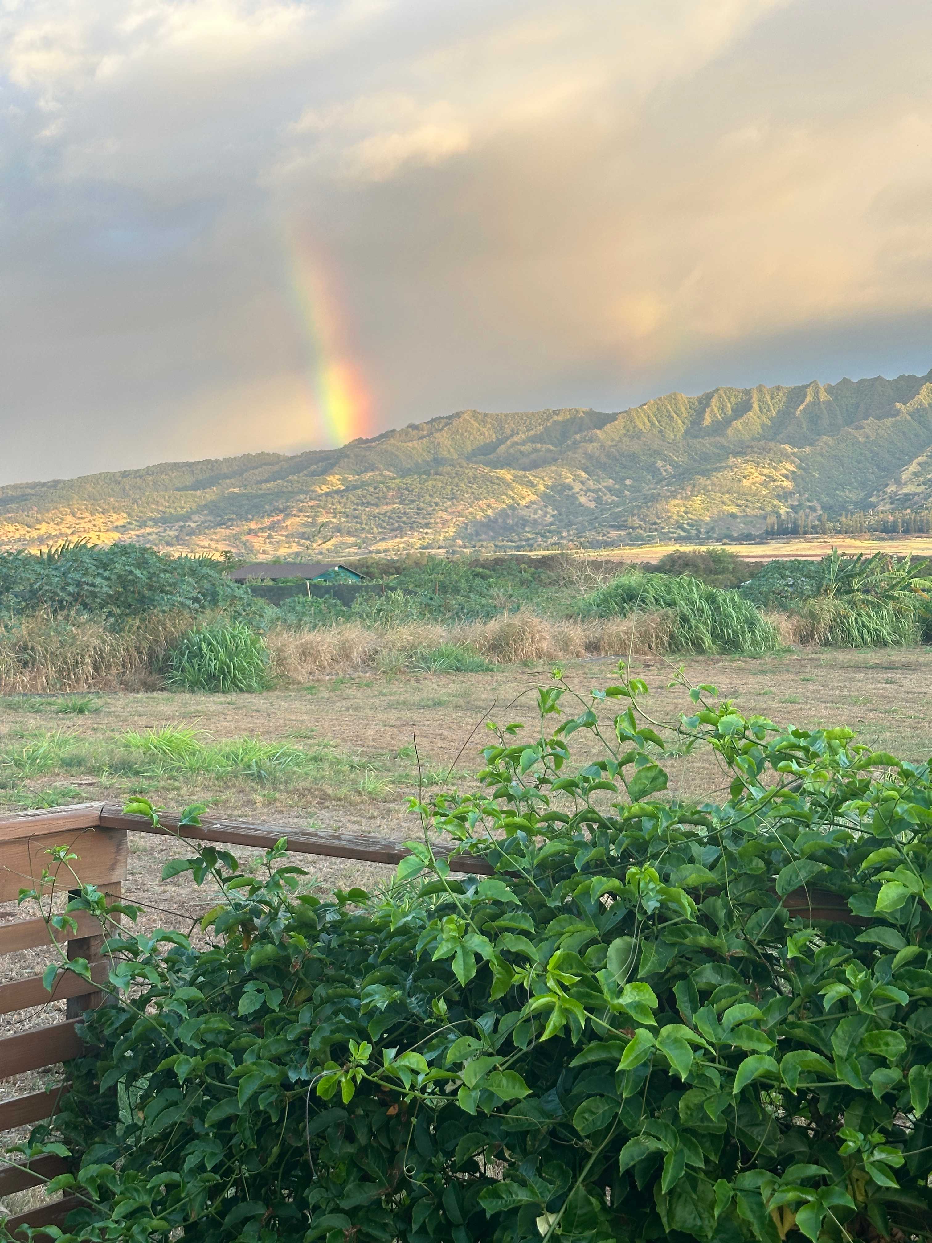 Rainbow sunset!