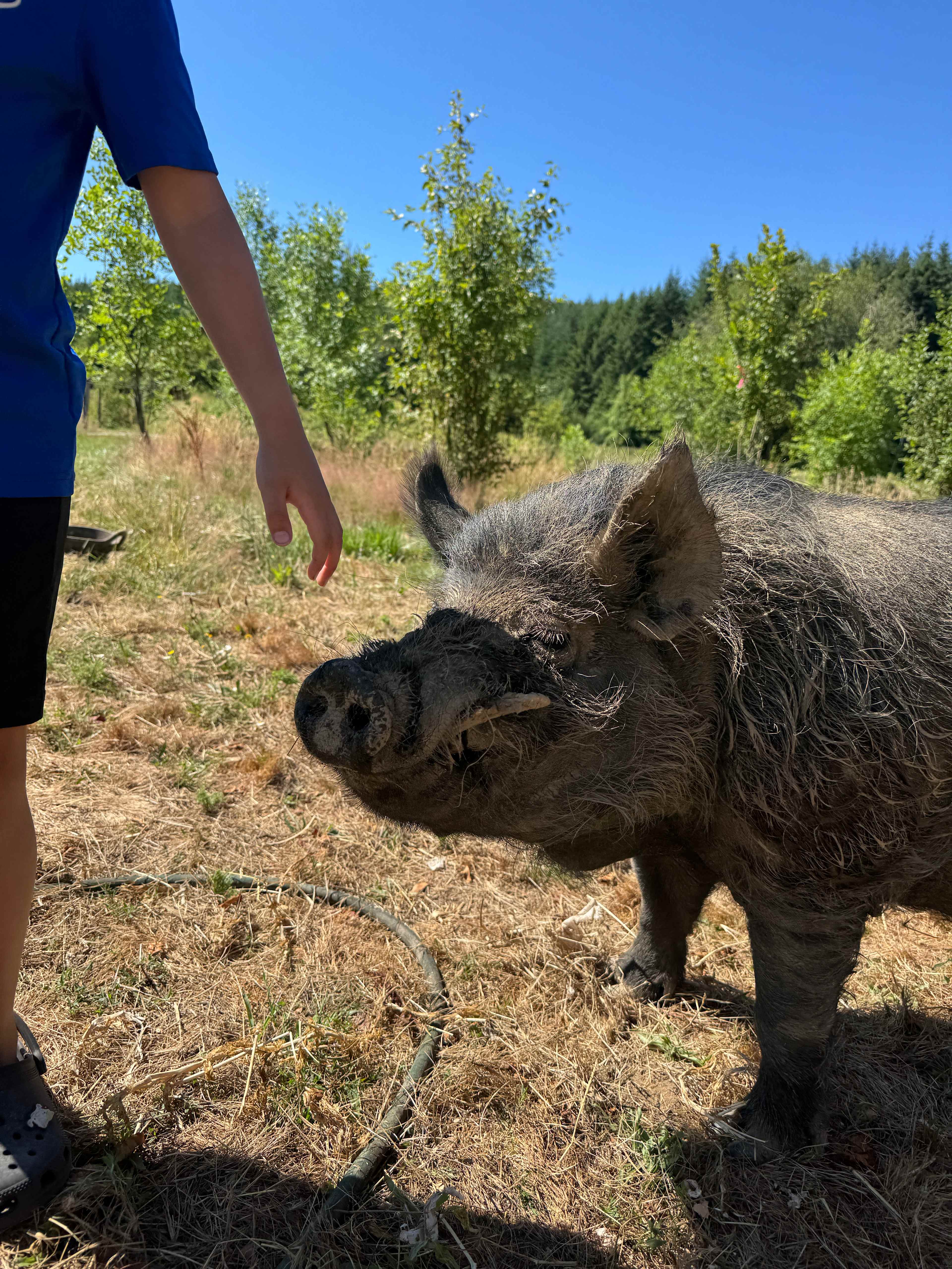 Early was a delight 🐽 