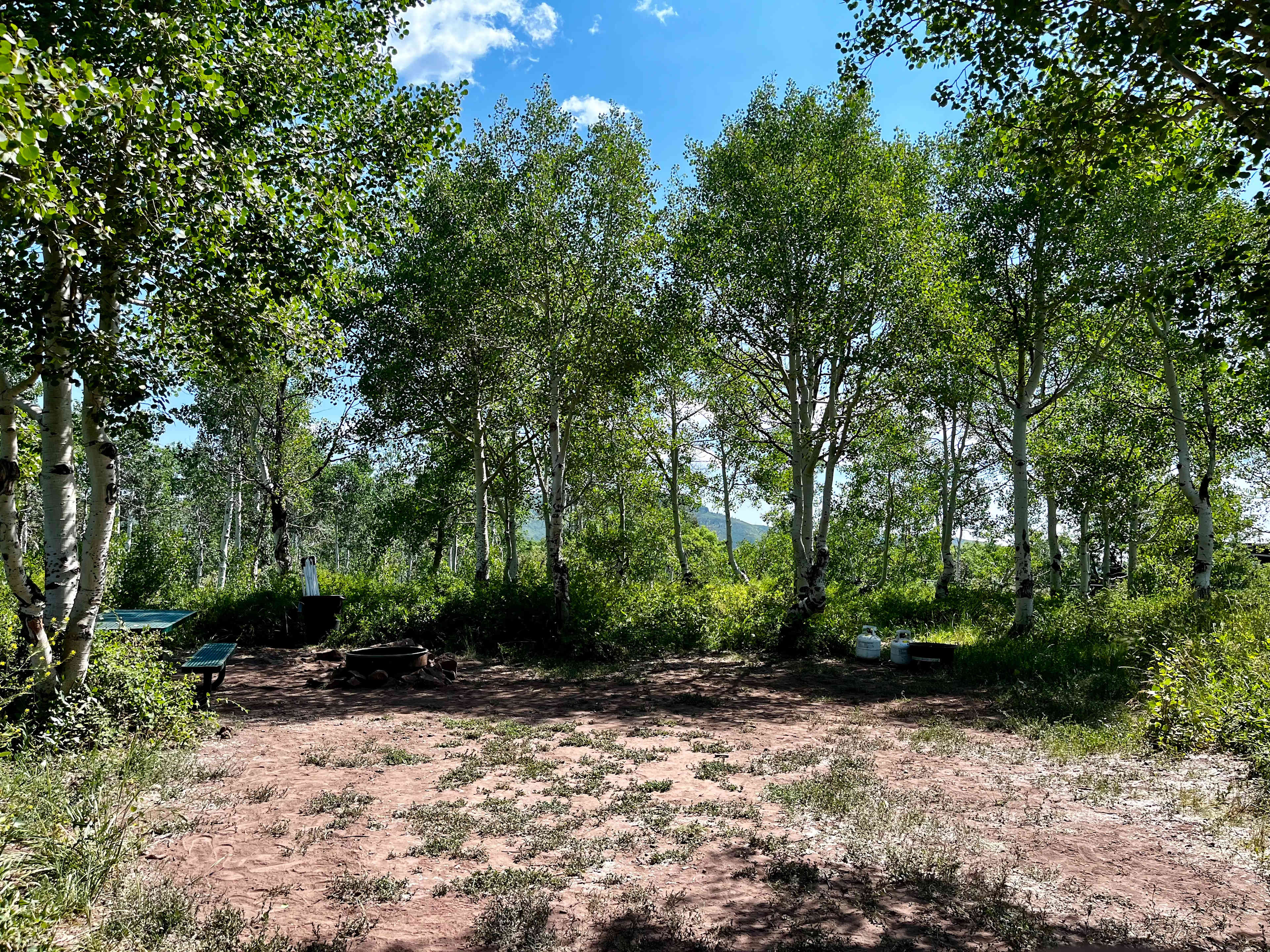 Camp site