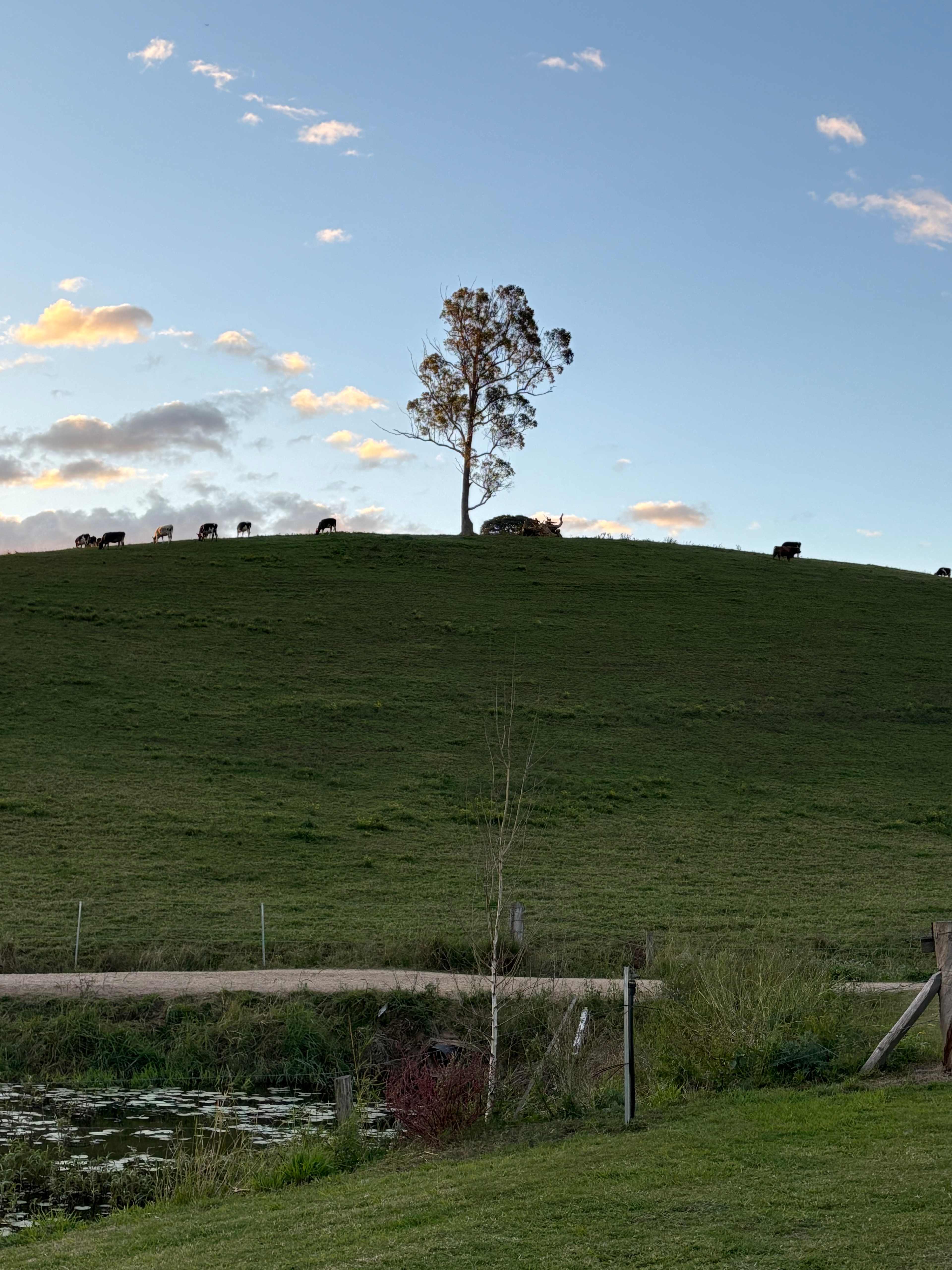 Valley View Escape