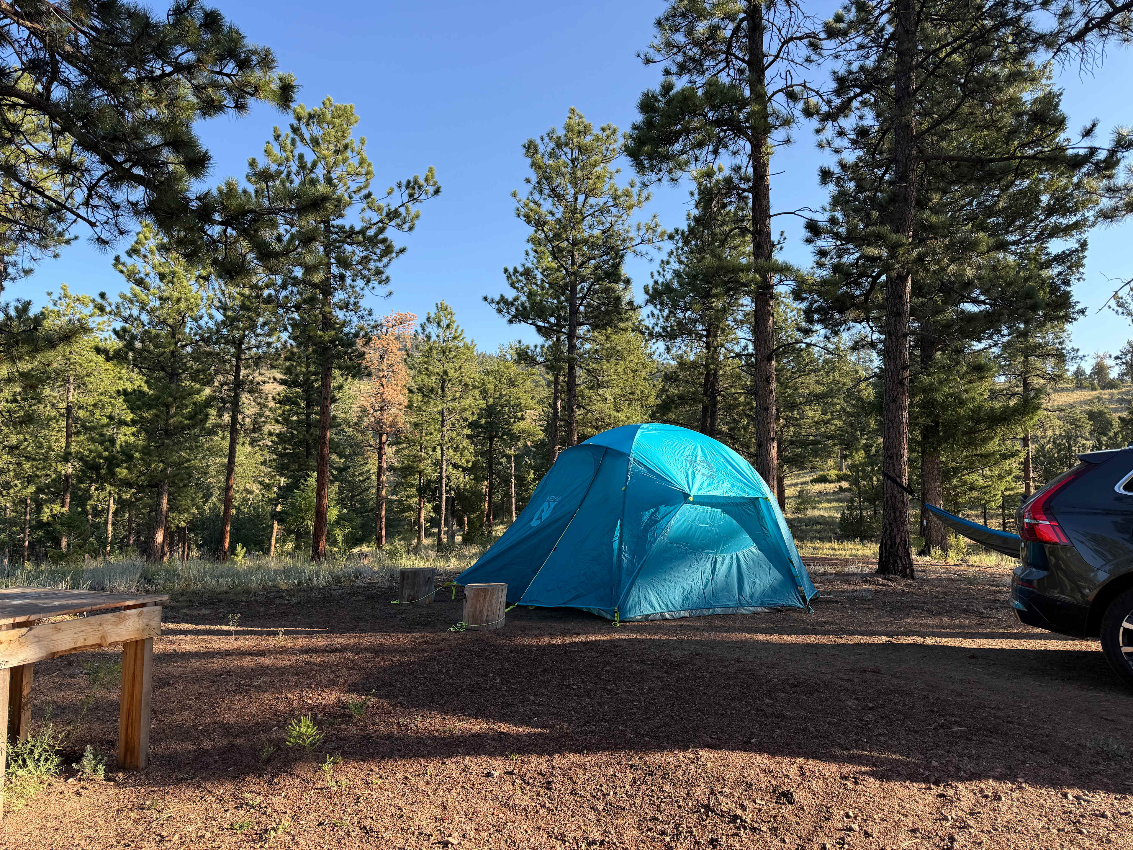 Serenity in the Foothills