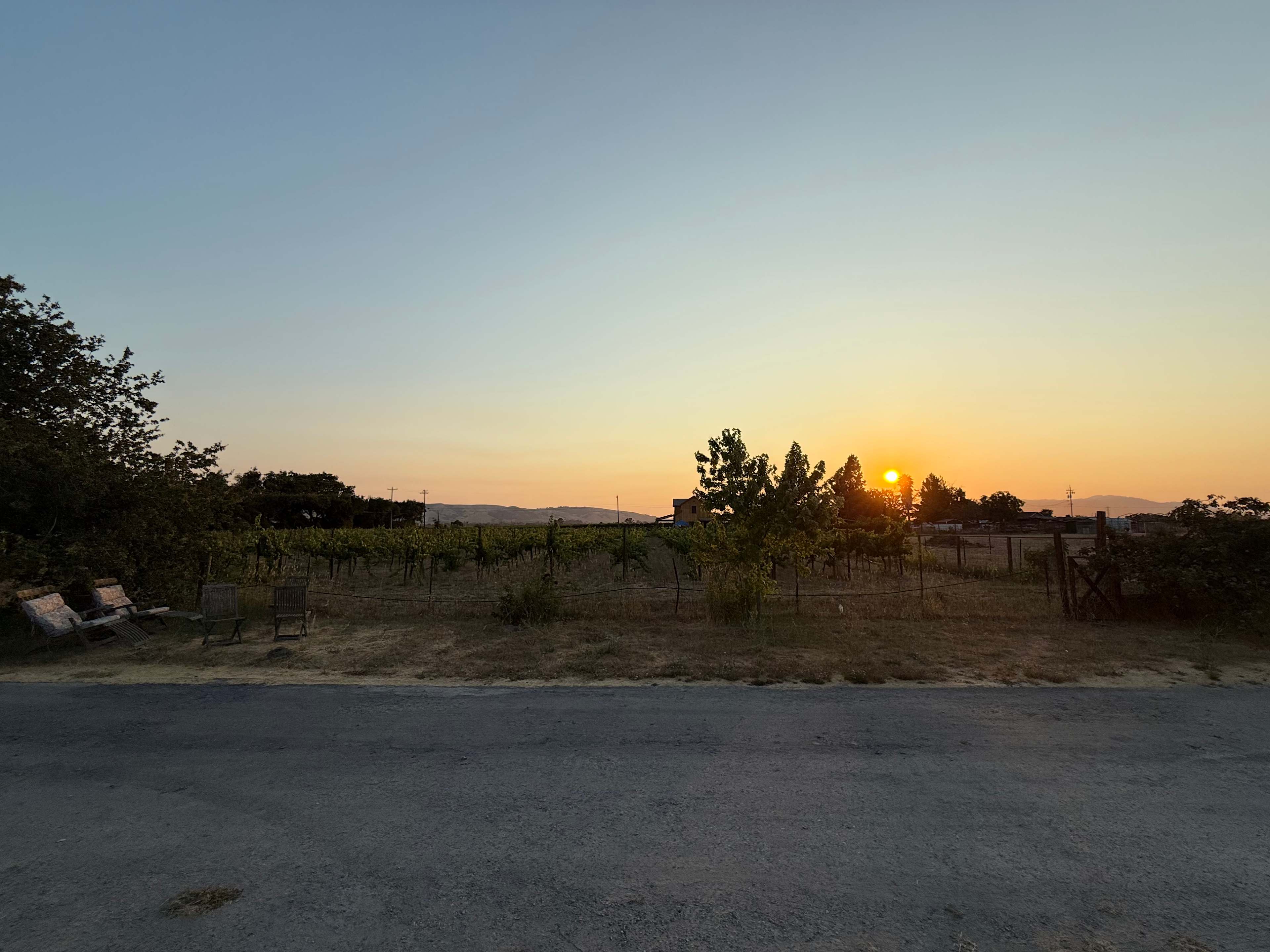 Pharo Pharms Organic Farm-